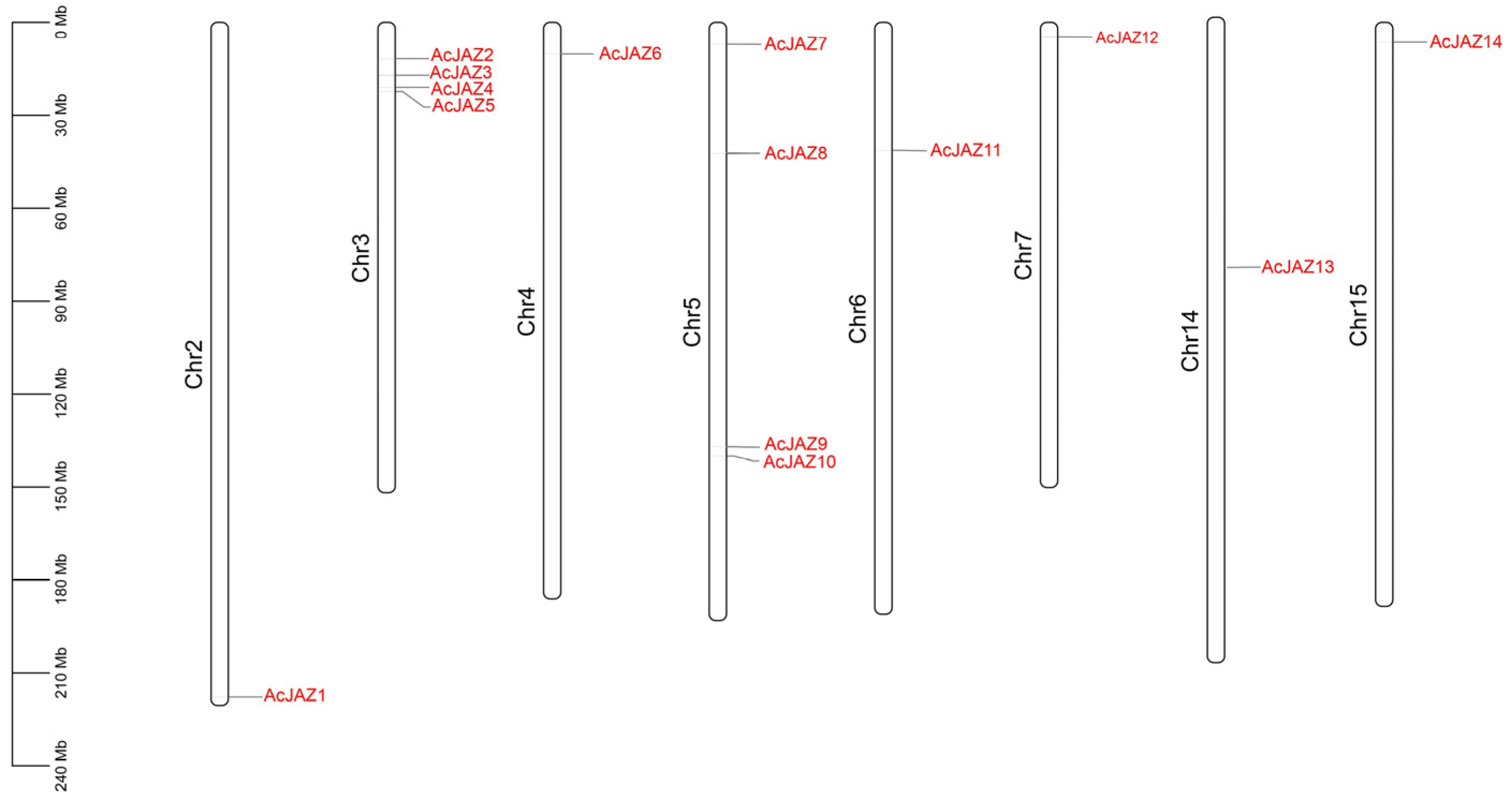 Forests 16 01133 g001