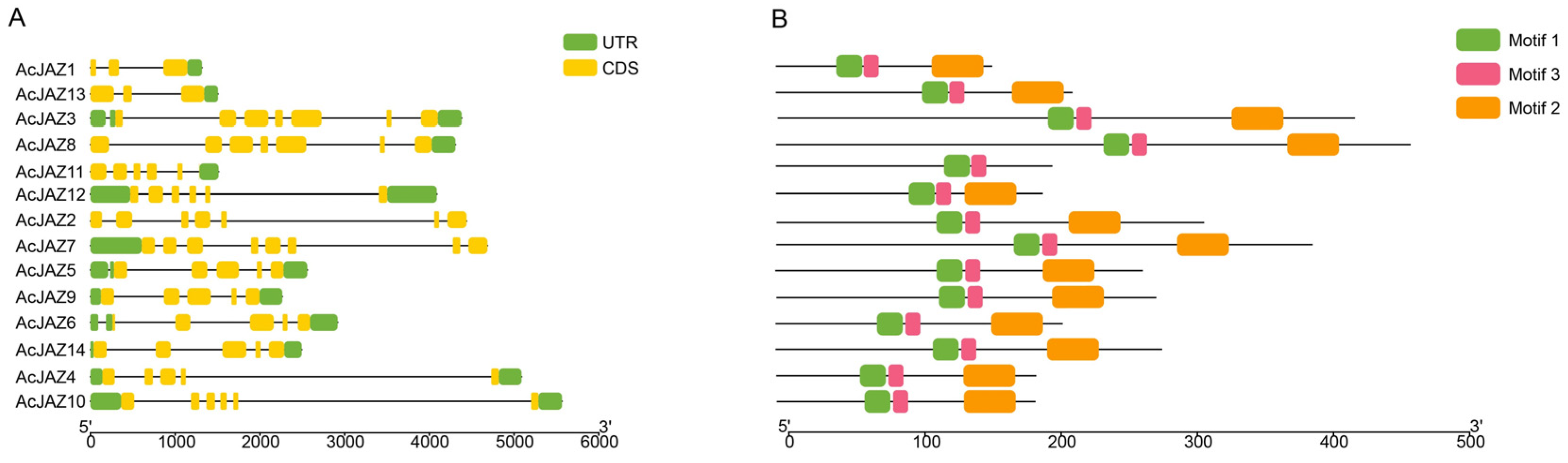 Forests 16 01133 g002