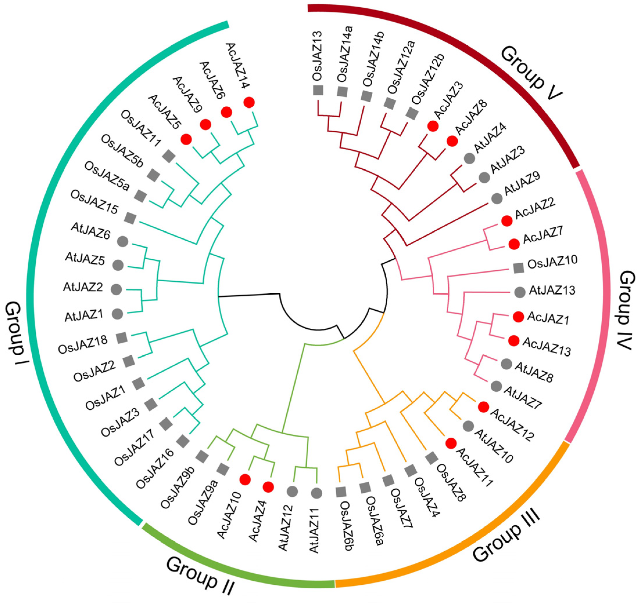 Forests 16 01133 g003