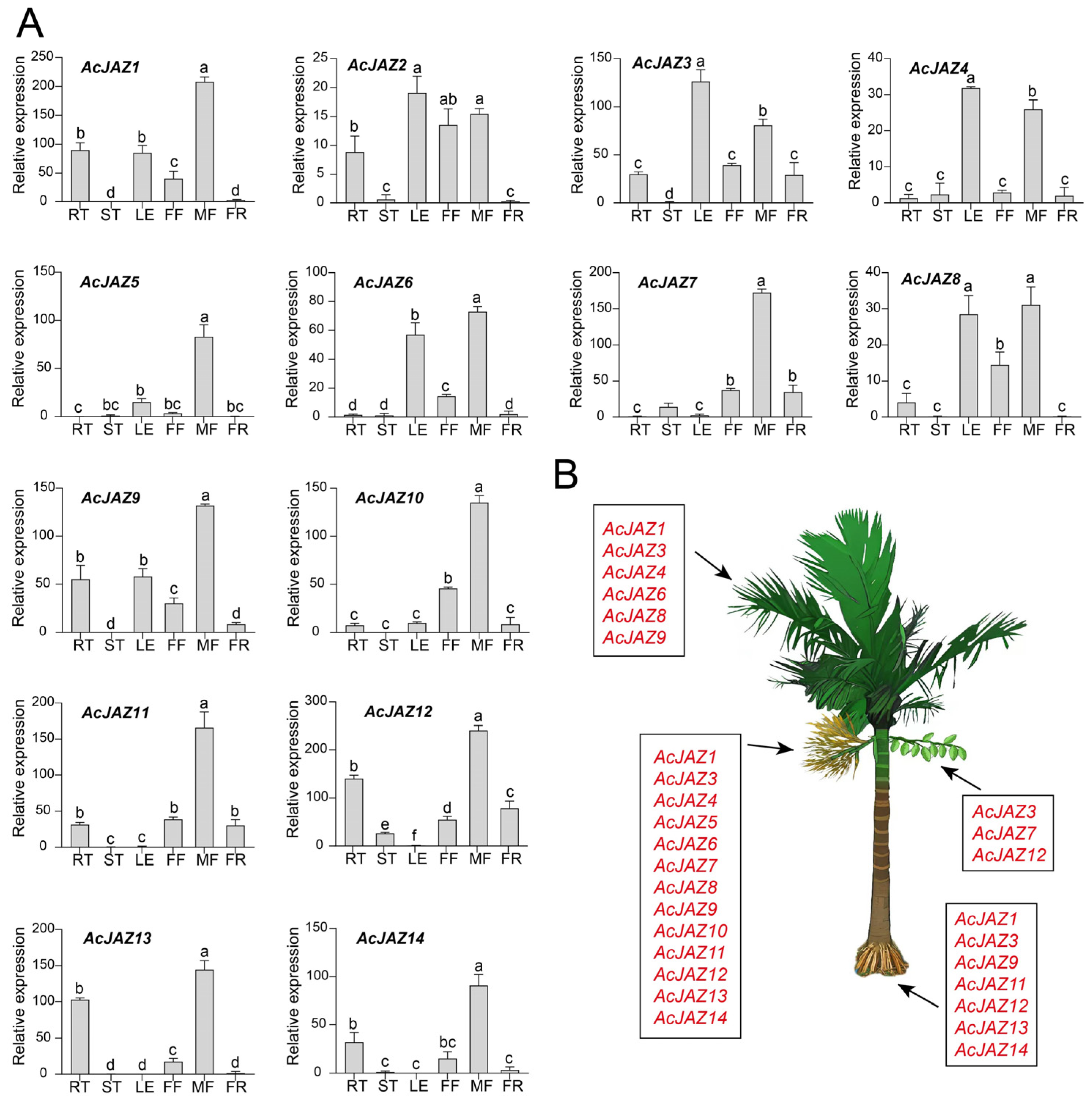 Forests 16 01133 g004