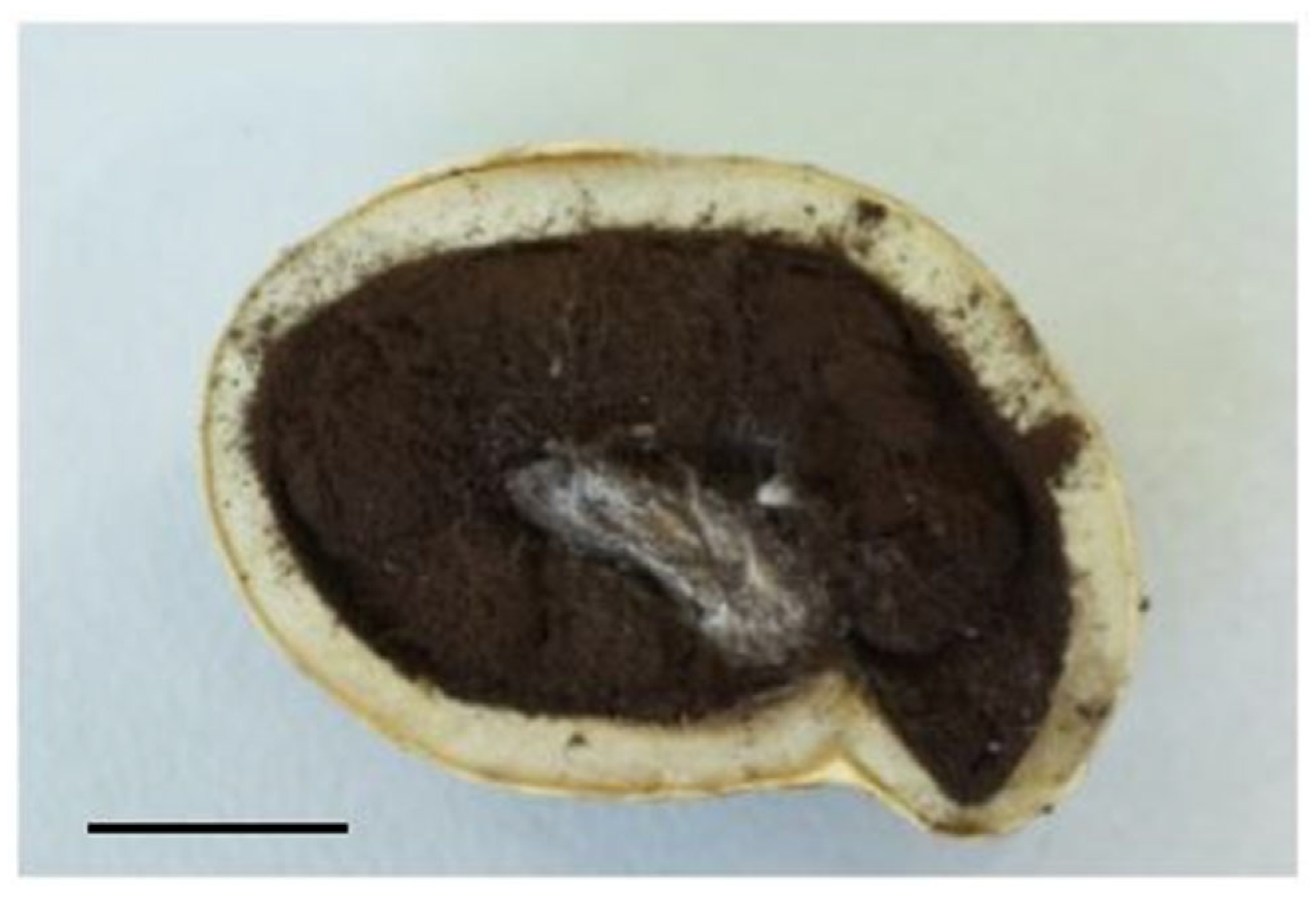 Forests 16 01136 g003