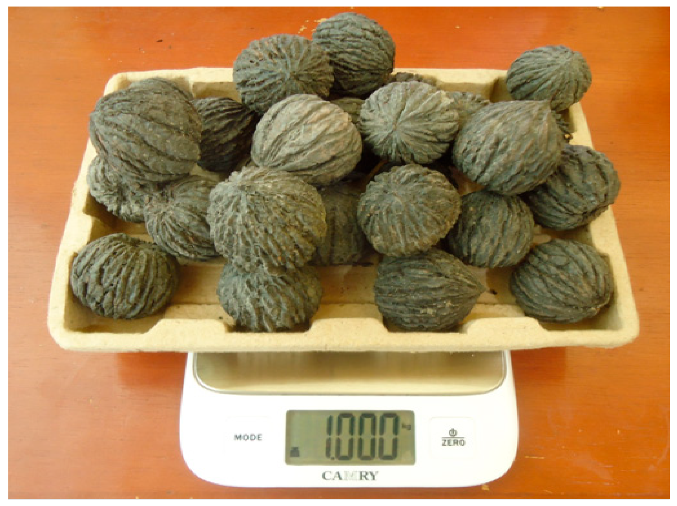 Forests 16 01141 g003