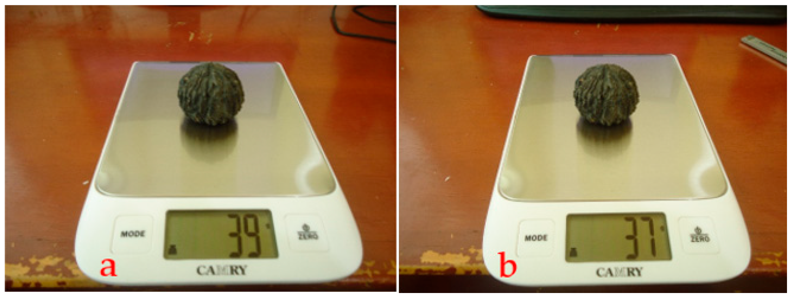 Forests 16 01141 g004