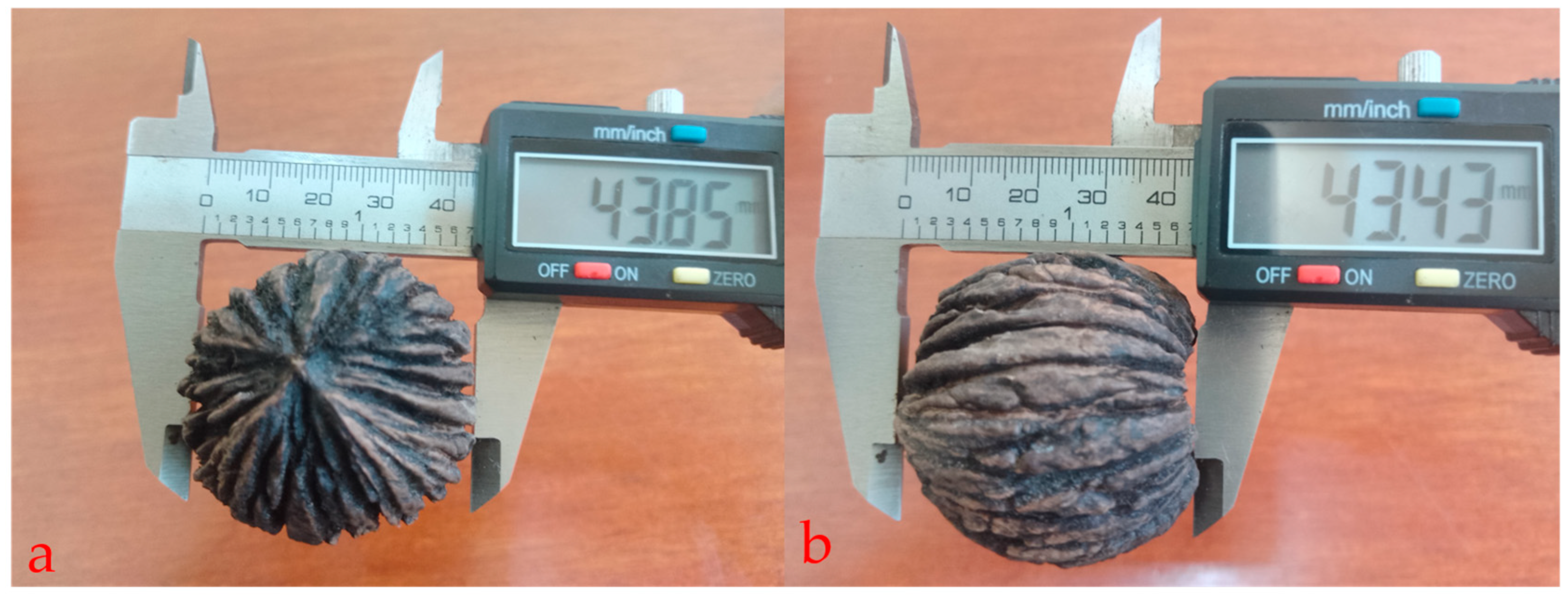 Forests 16 01141 g005