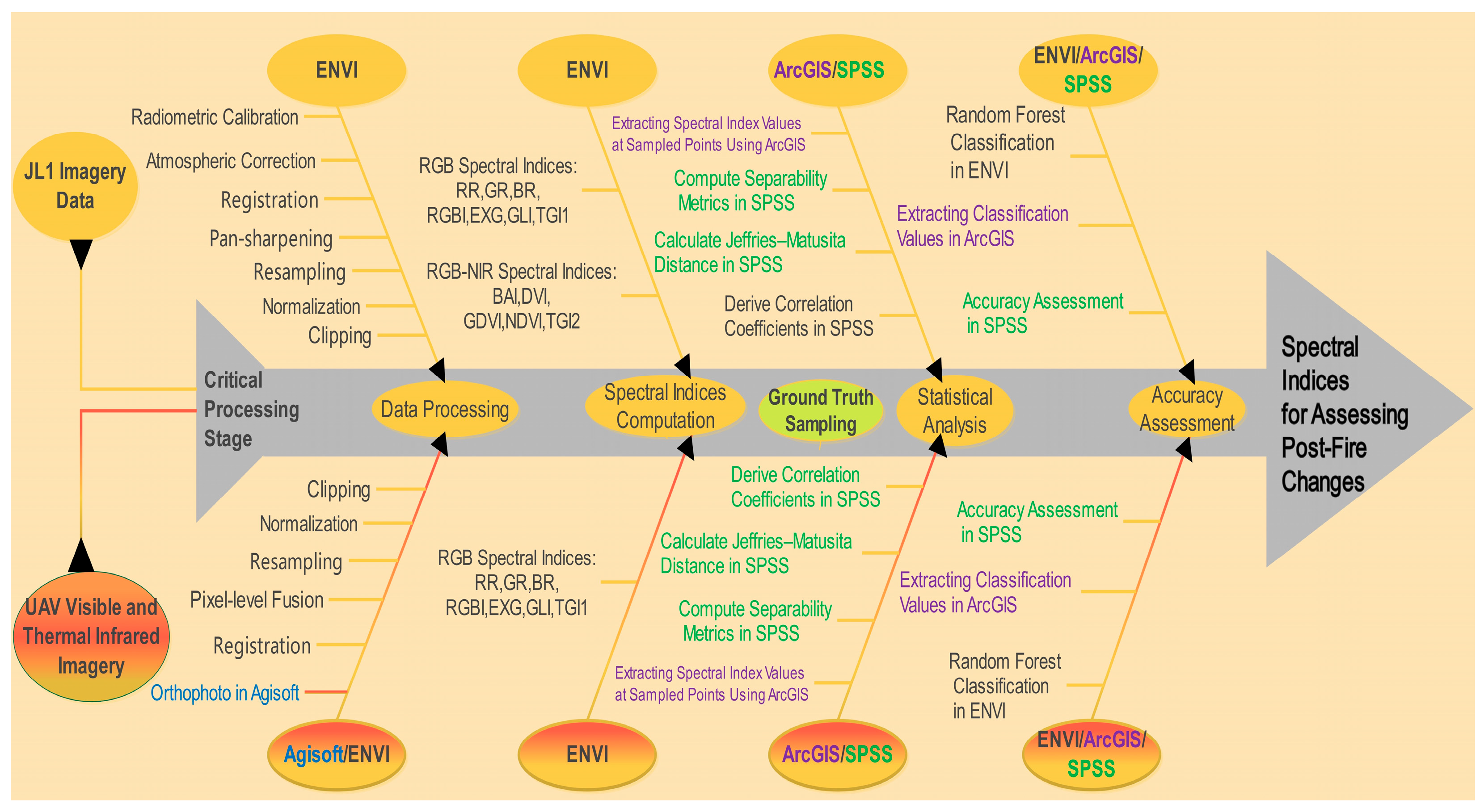Forests 16 01147 g002