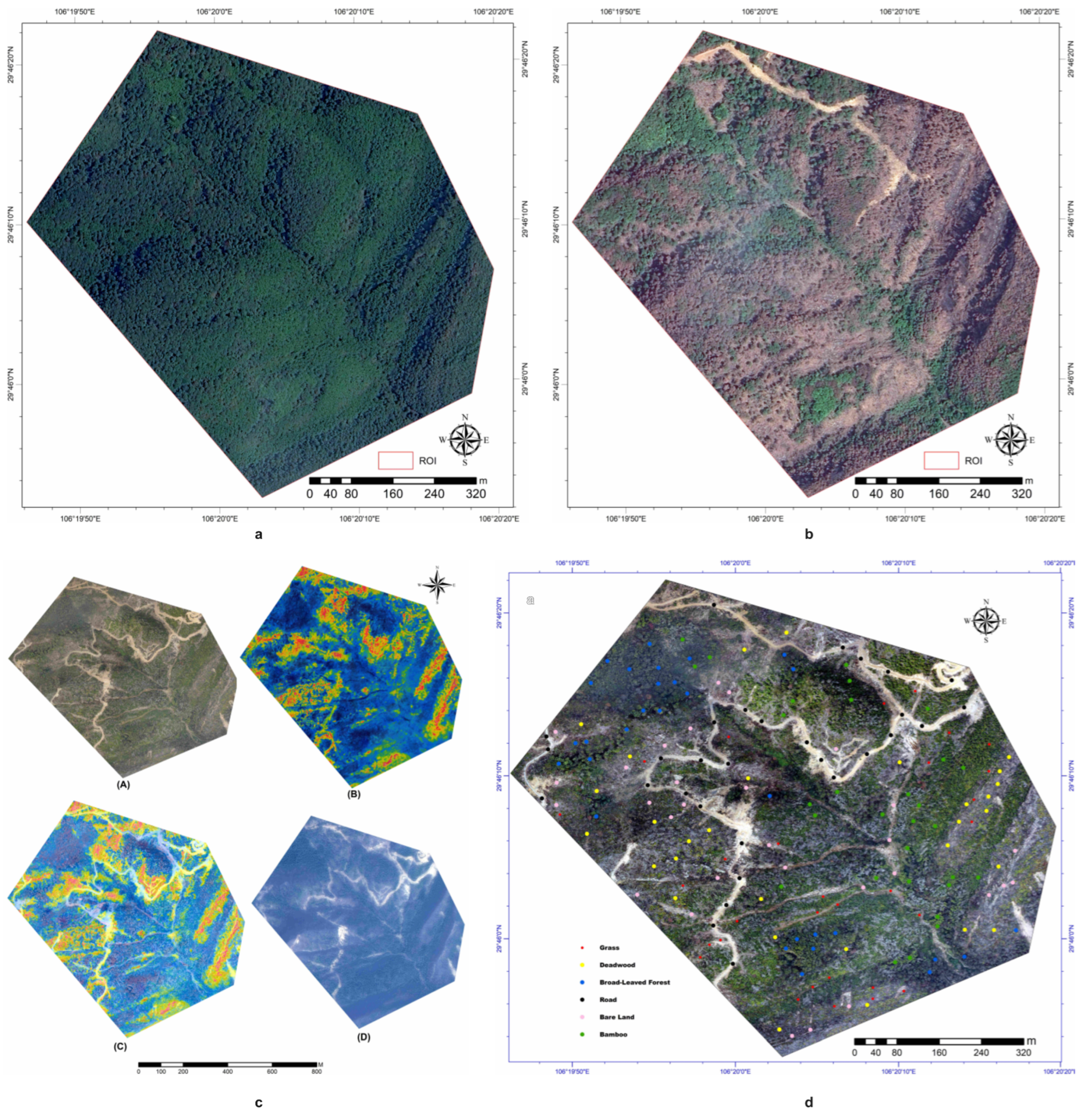 Forests 16 01147 g003