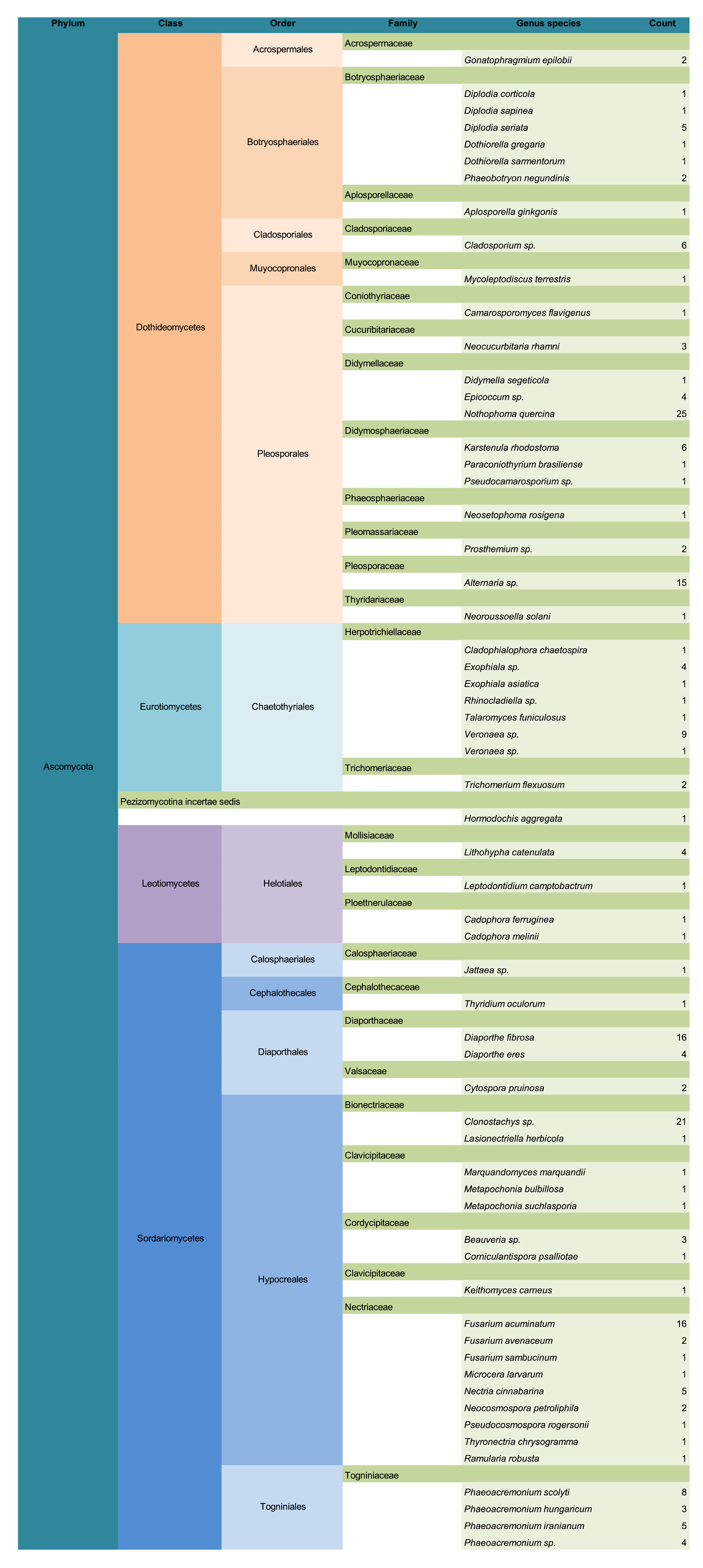Forests 16 01148 g002a
