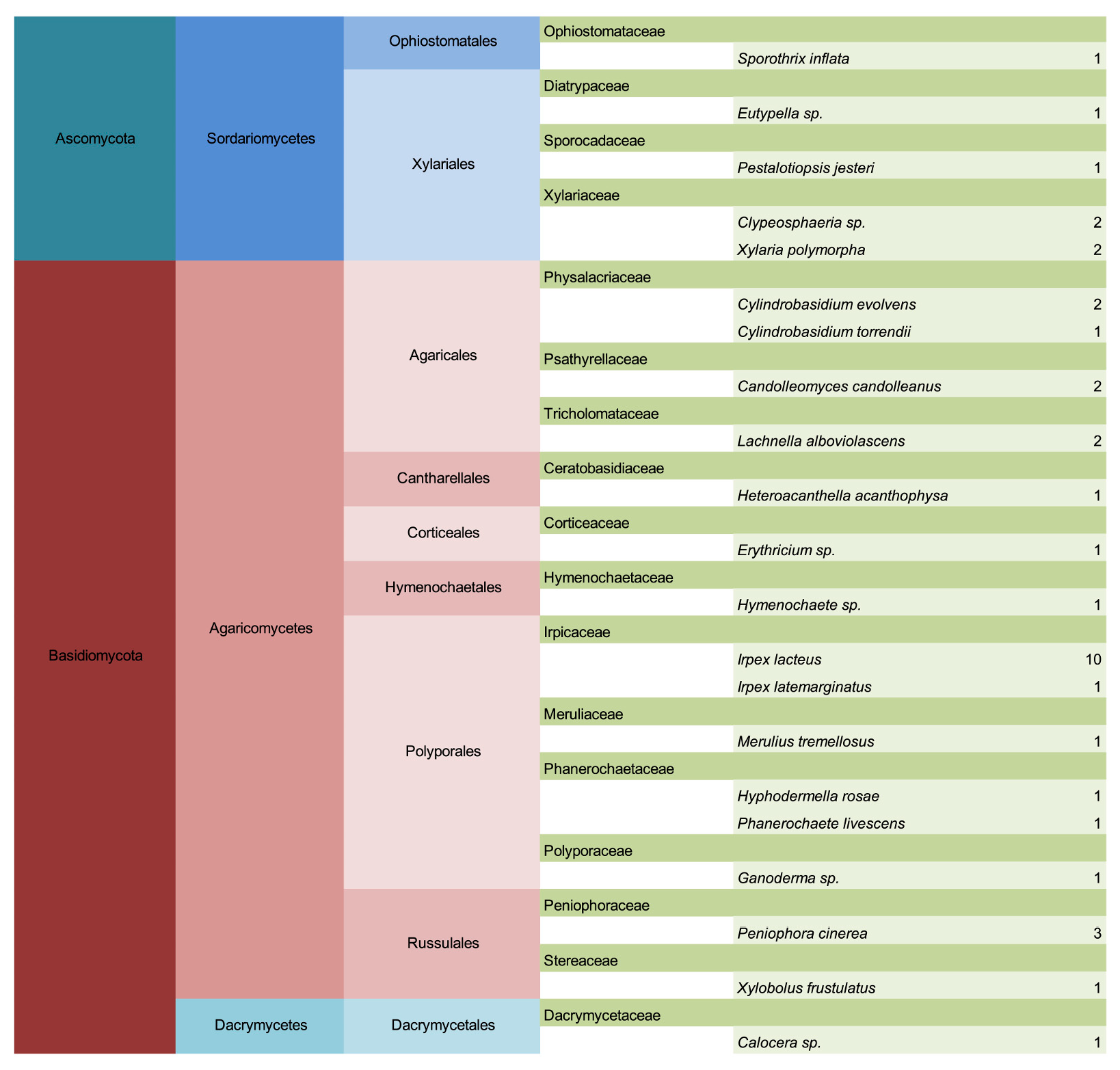 Forests 16 01148 g002b
