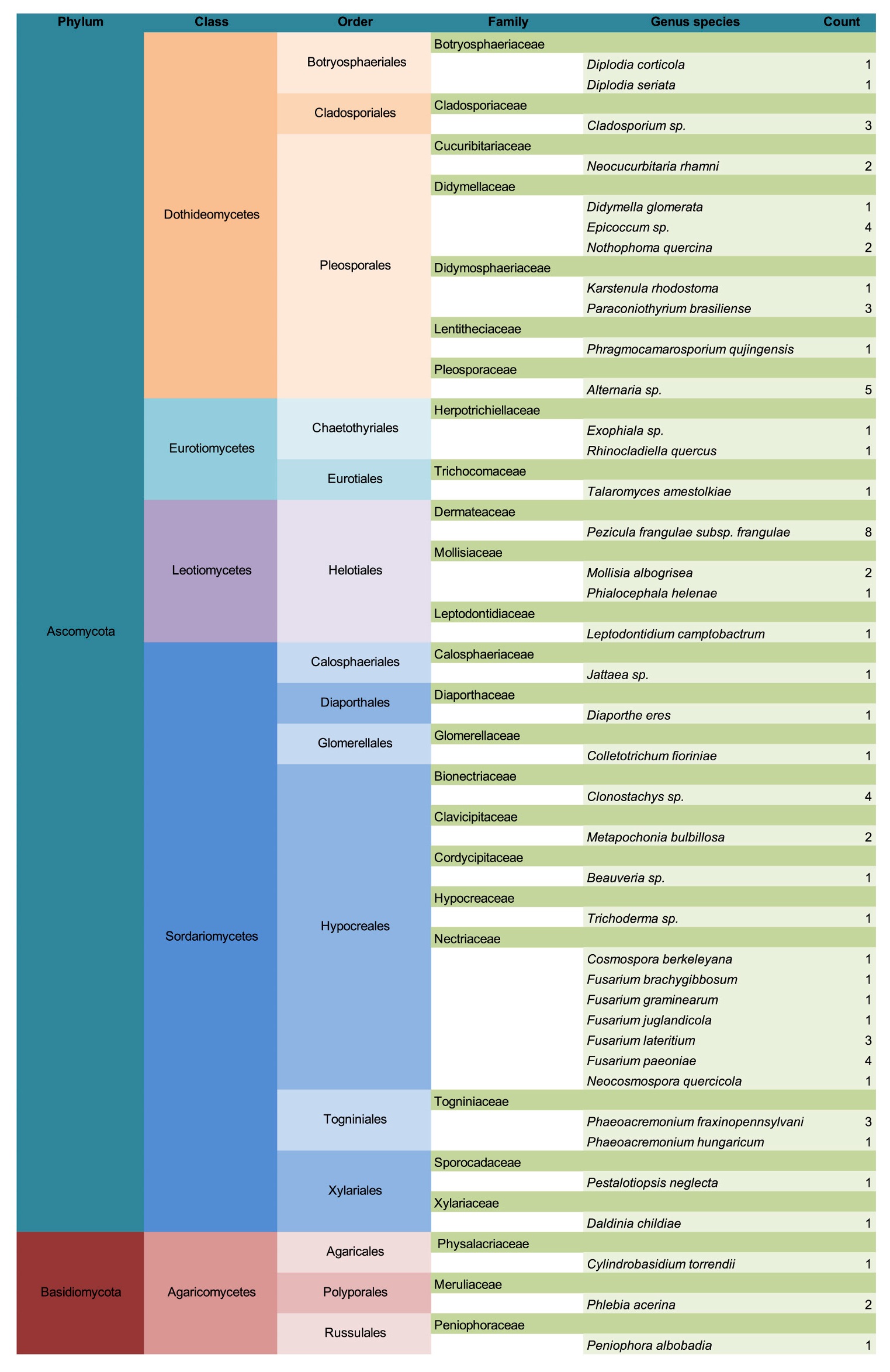Forests 16 01148 g004