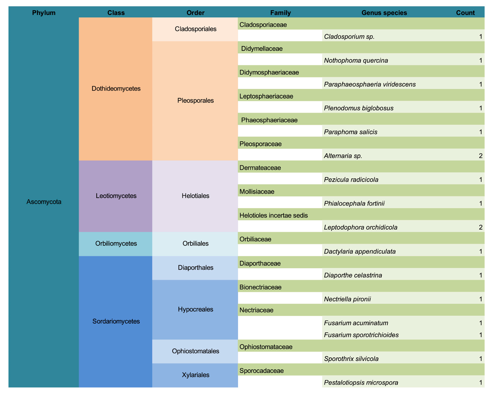 Forests 16 01148 g006