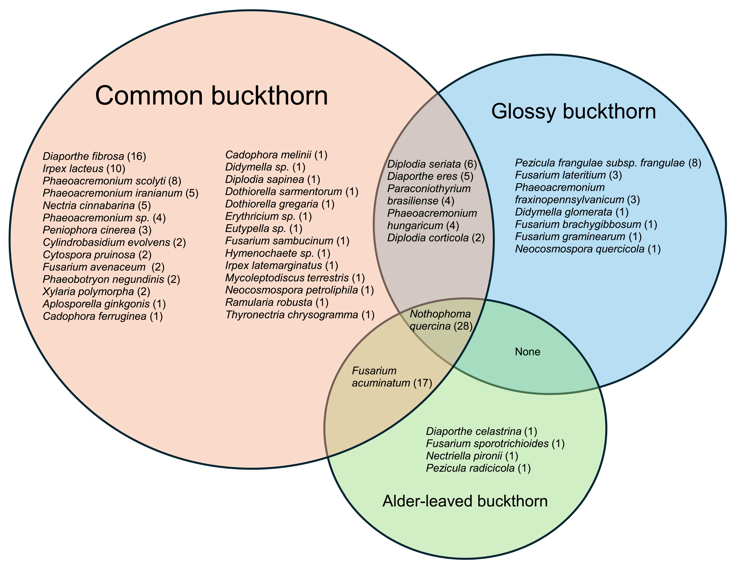 Forests 16 01148 g008