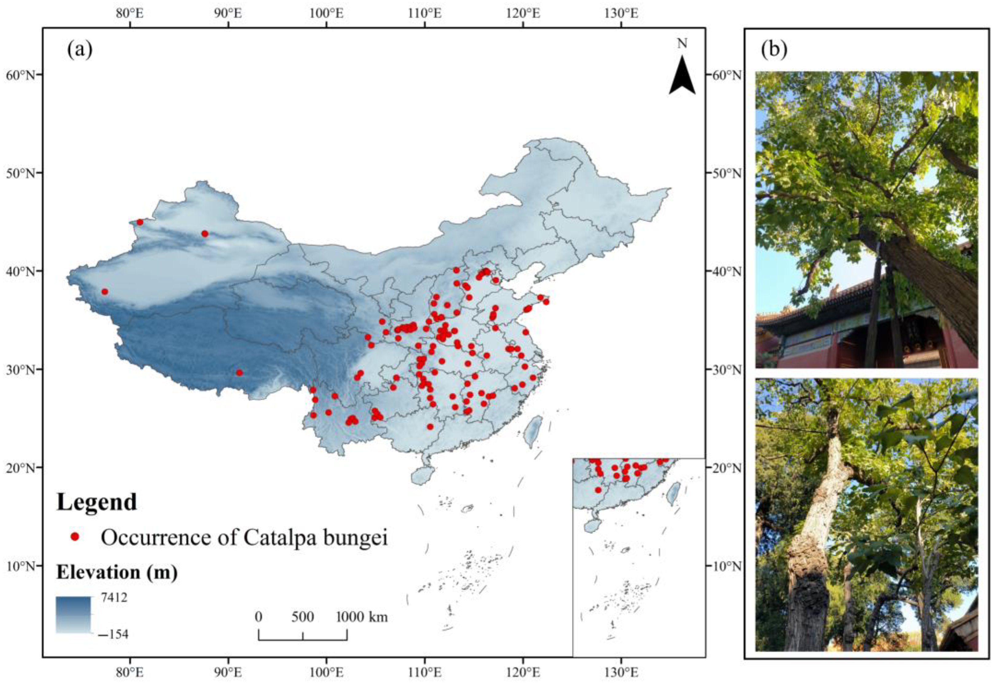Forests 16 01150 g002
