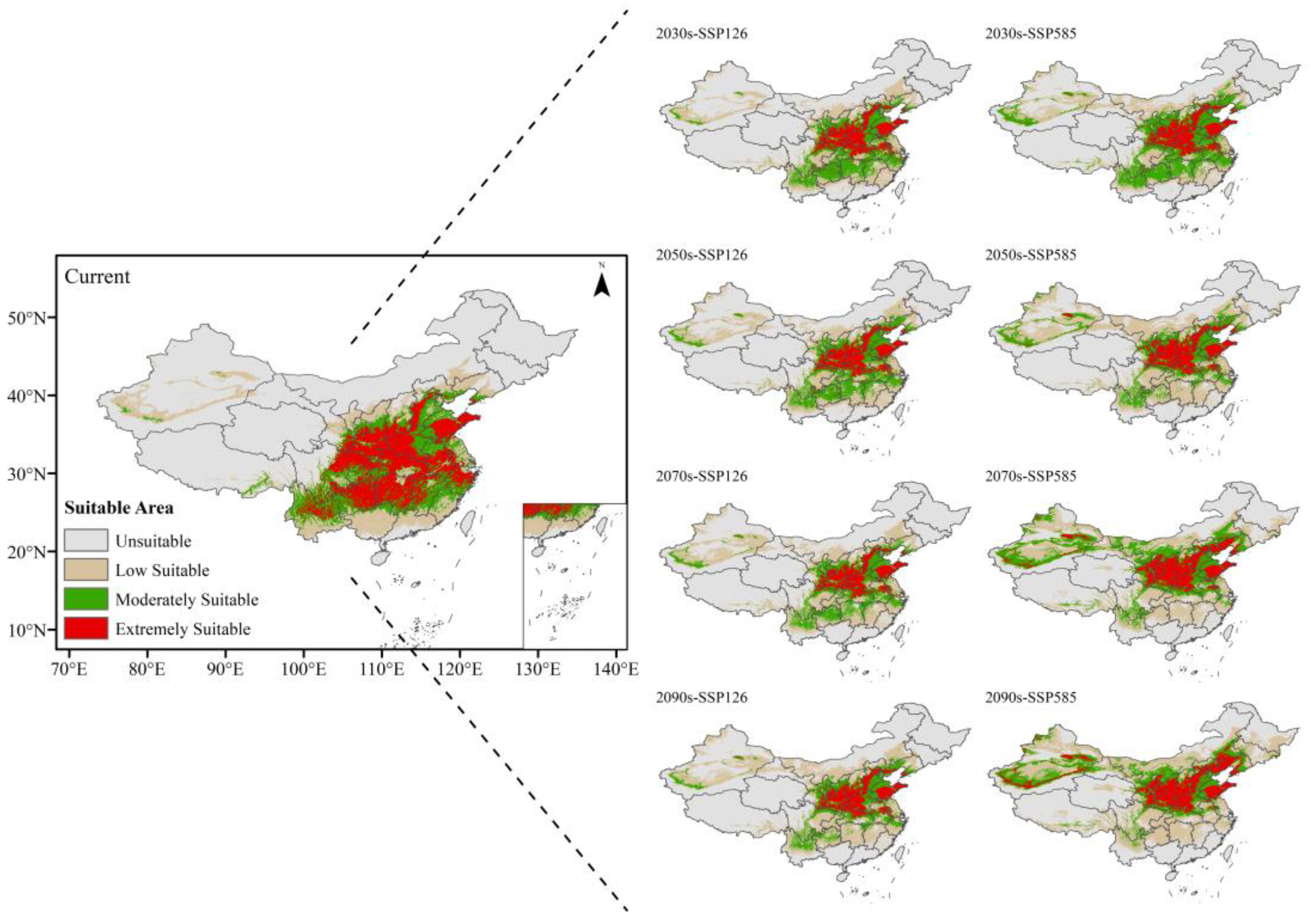 Forests 16 01150 g006
