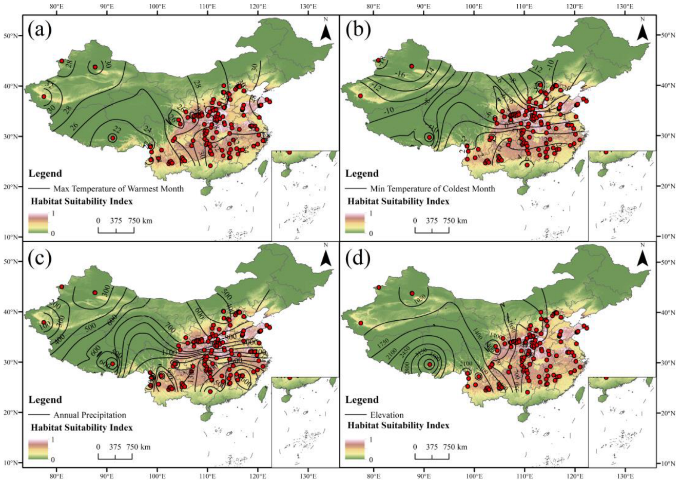 Forests 16 01150 g010