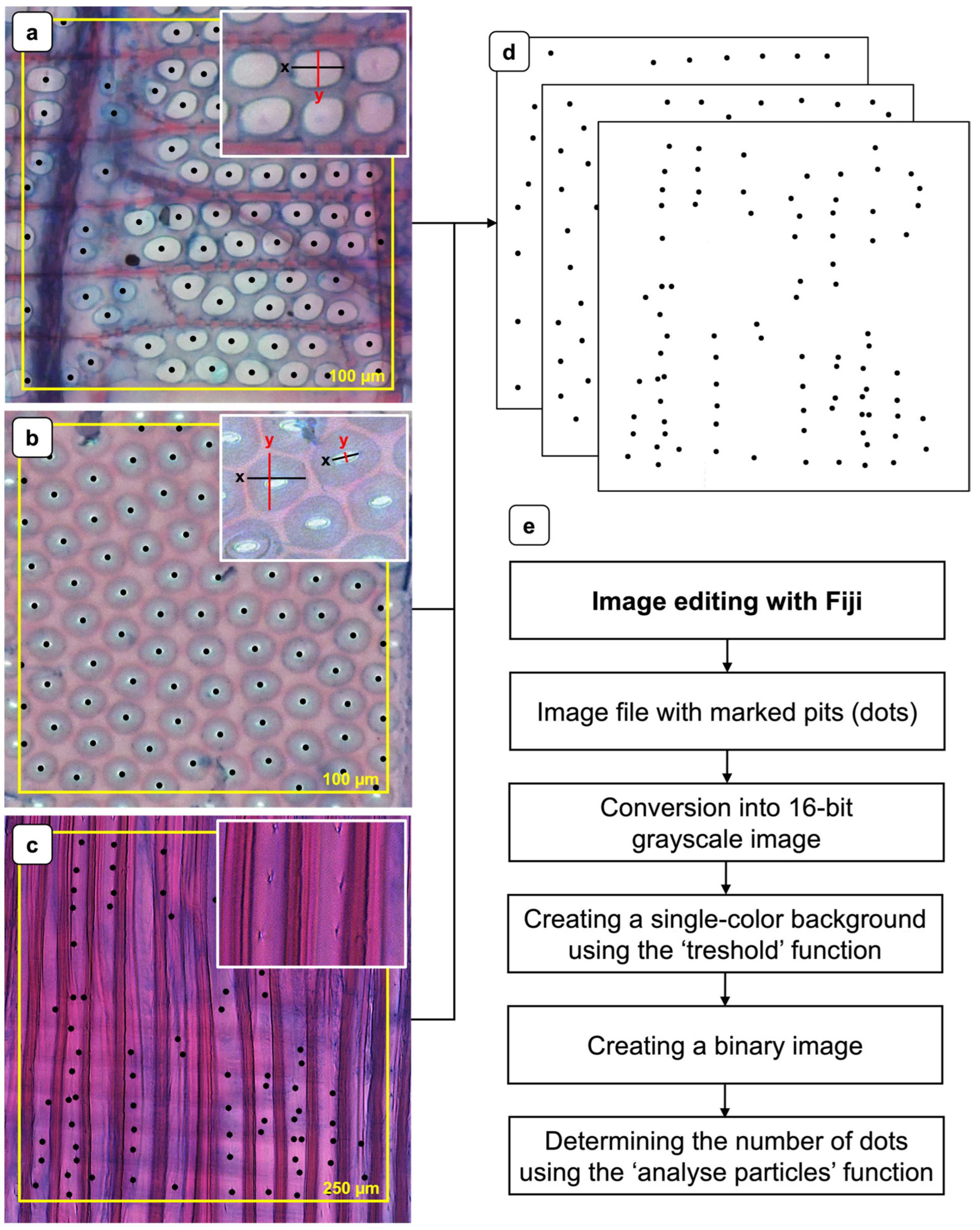 Forests 16 01151 g003