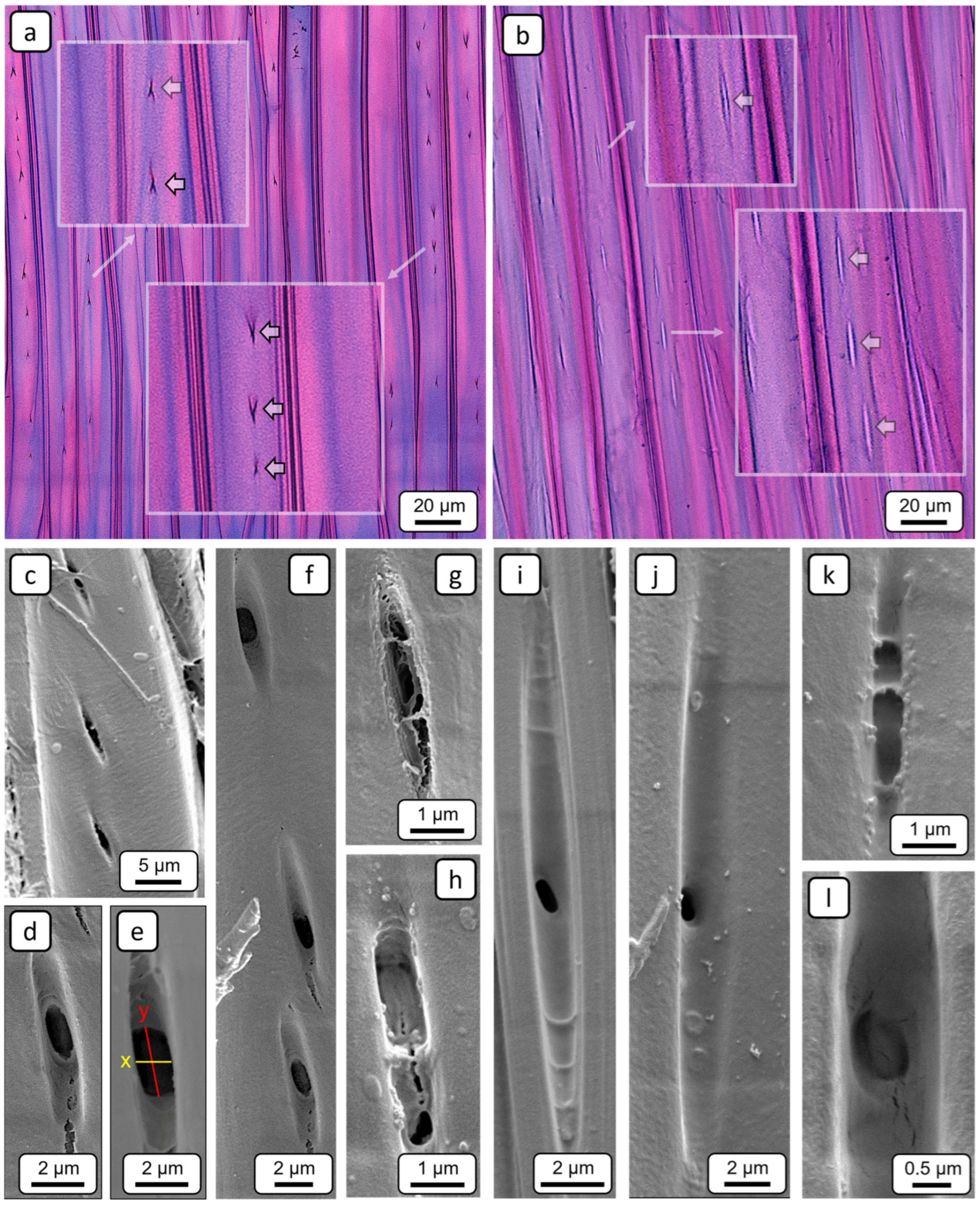 Forests 16 01151 g009