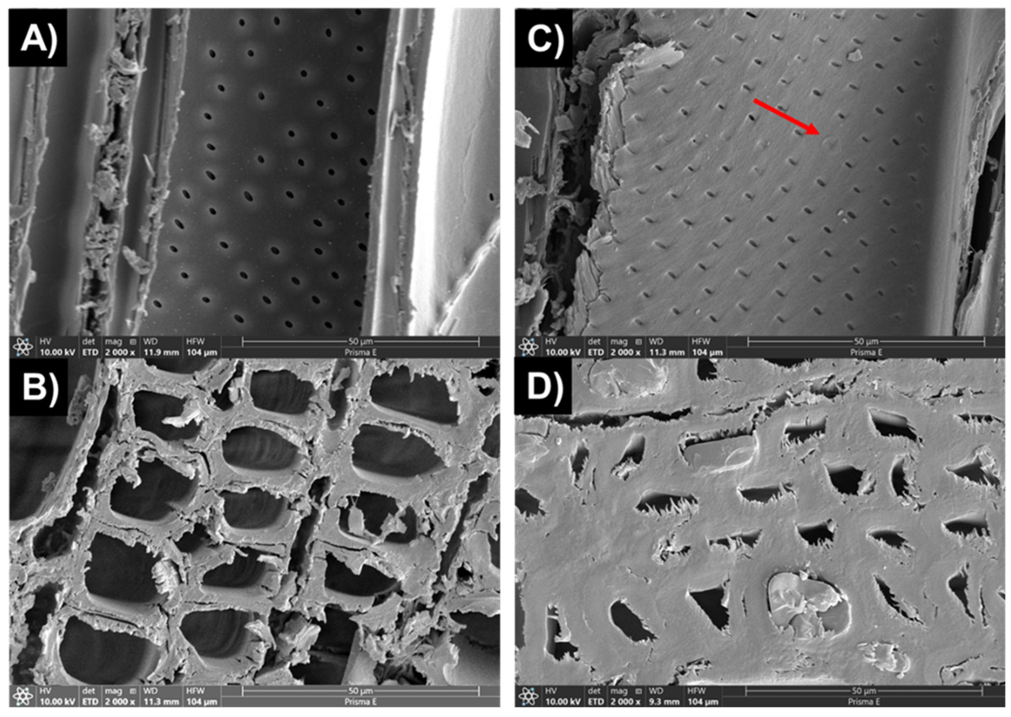 Forests 16 01152 g007