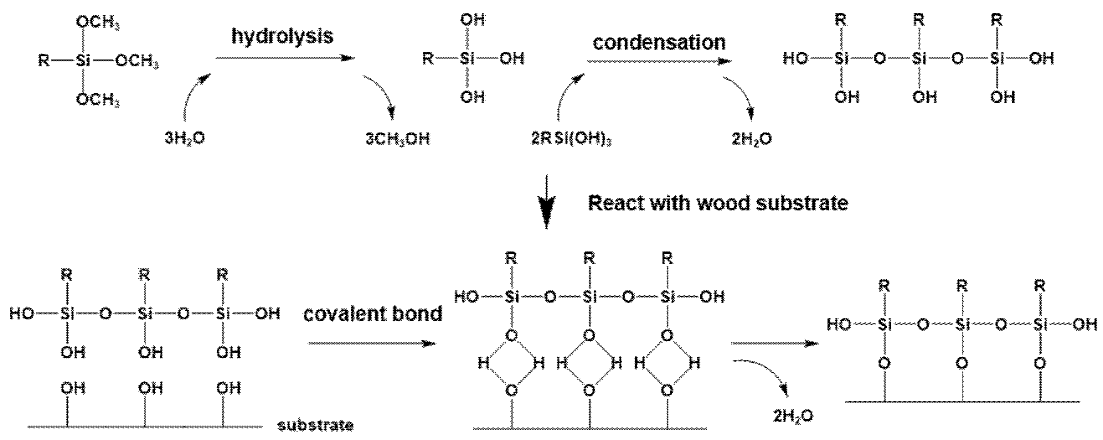Forests 16 01152 g008