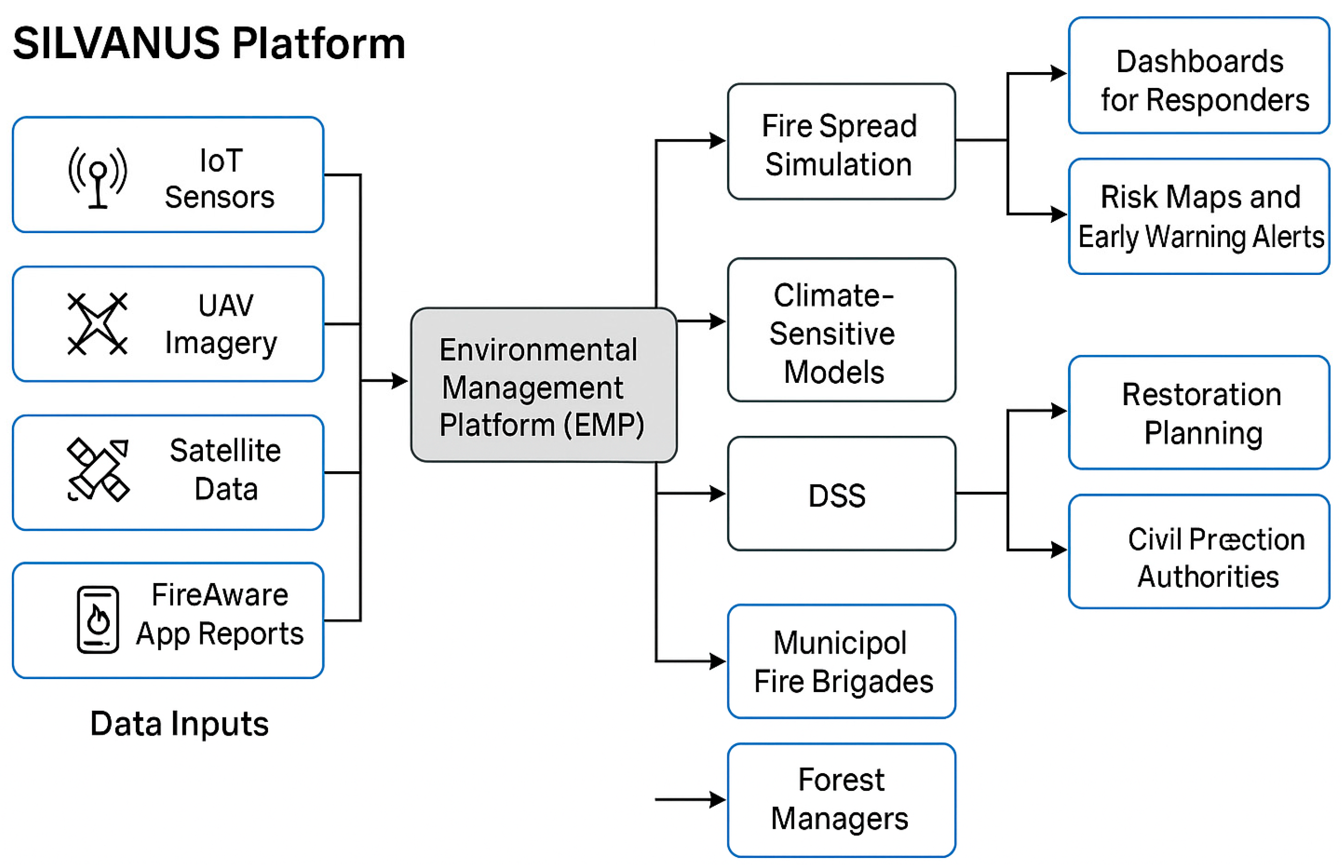Forests 16 01153 g001