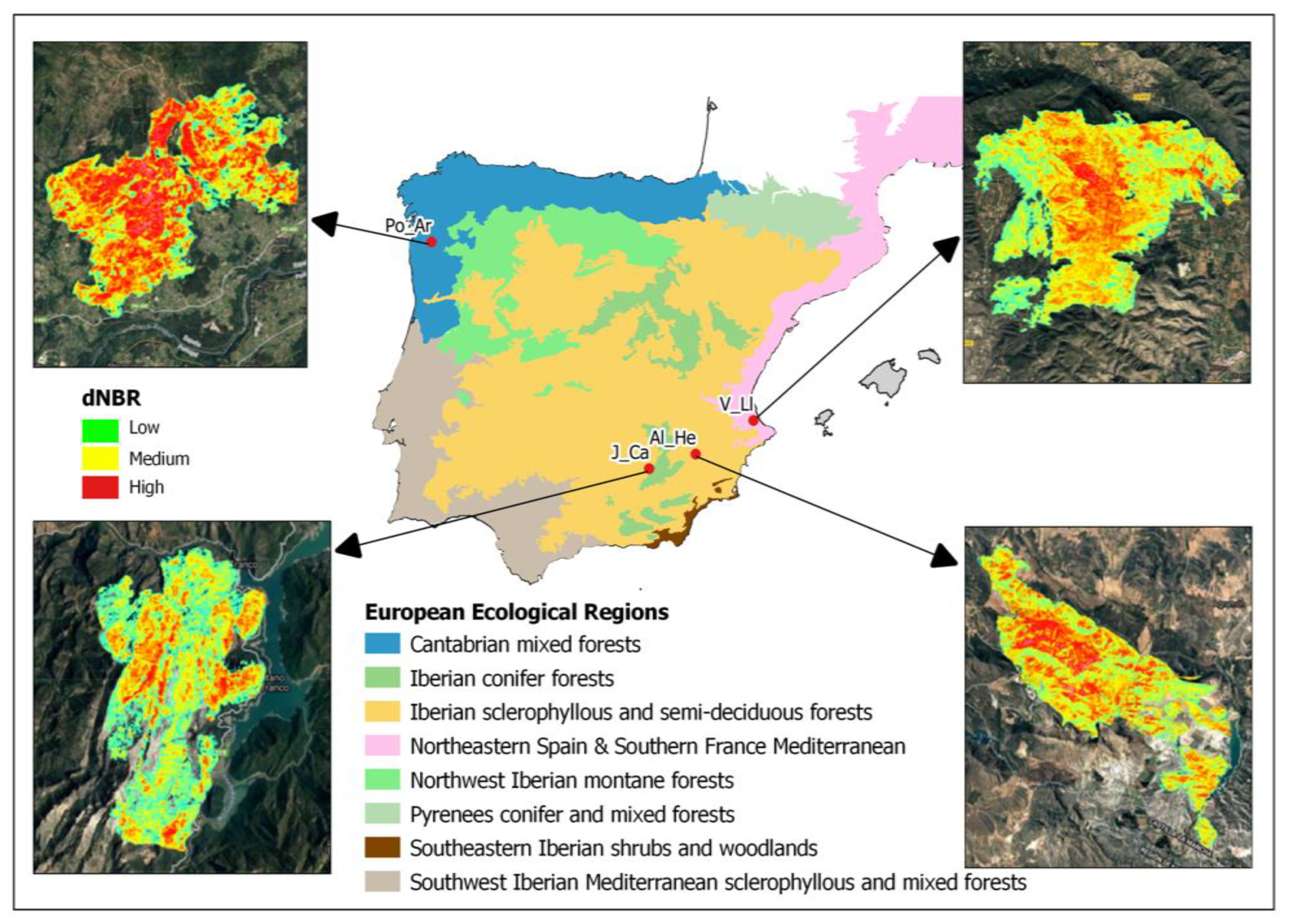 Forests 16 01154 g001