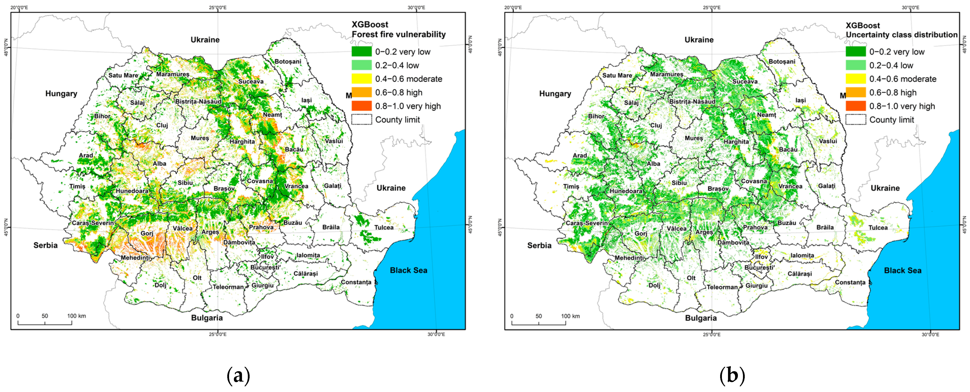 Forests 16 01156 g011
