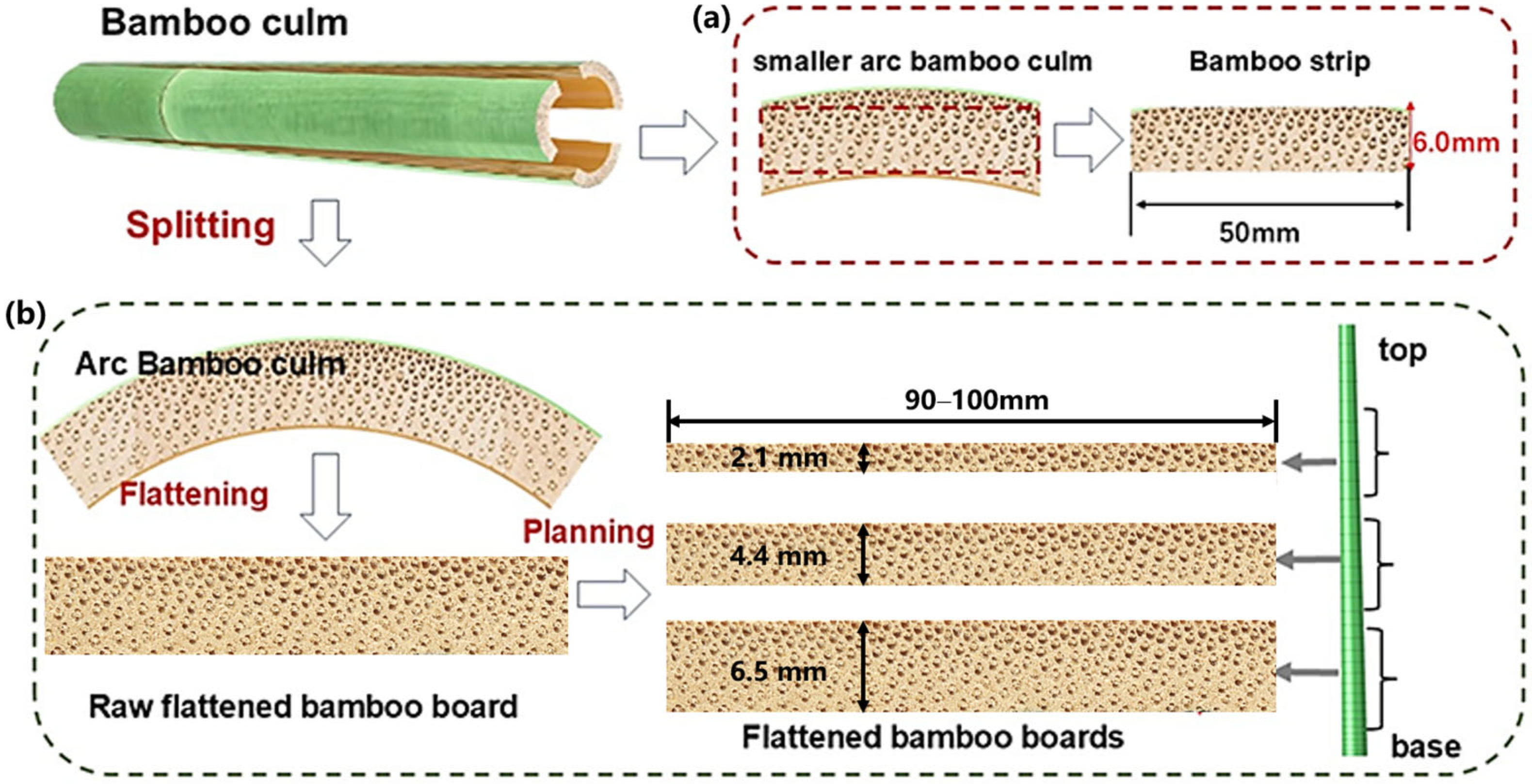 Forests 16 01163 g003