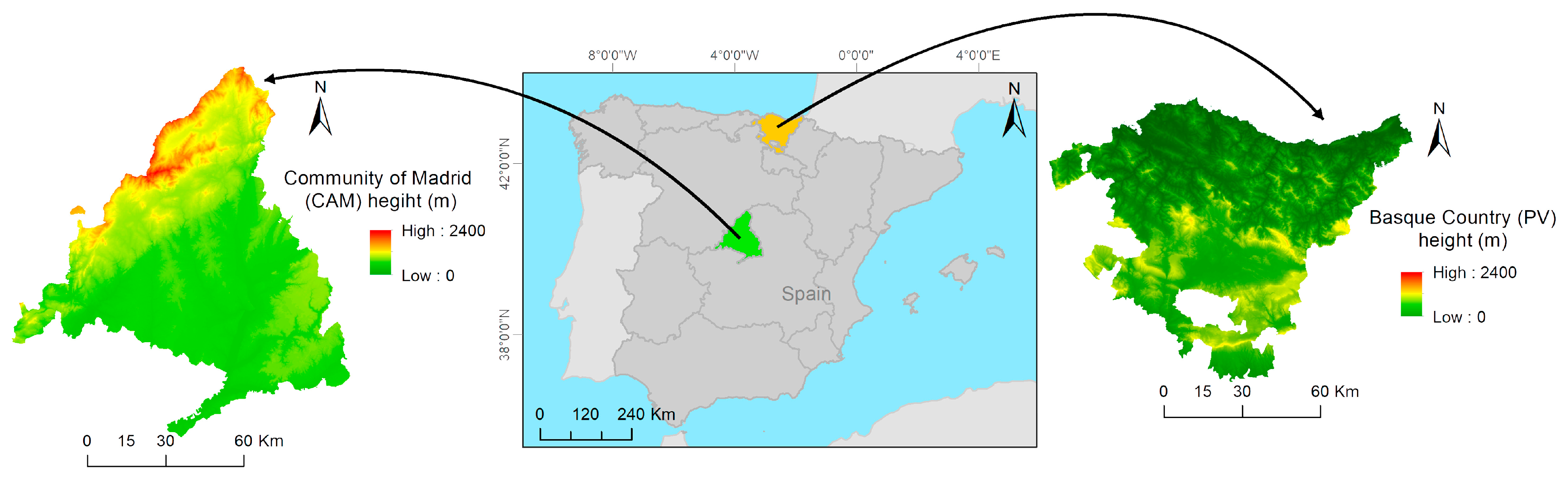 Forests 16 01164 g001