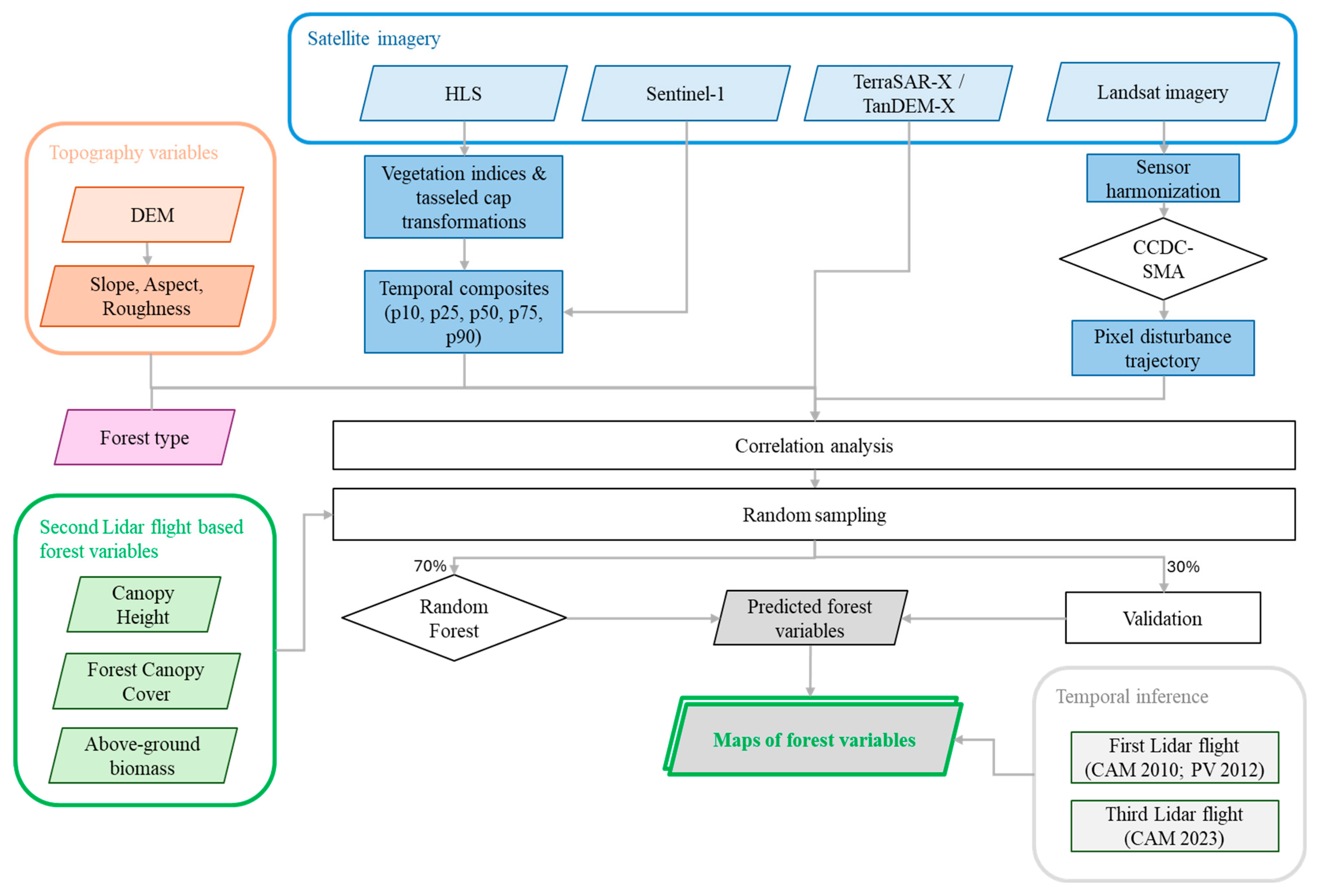 Forests 16 01164 g003