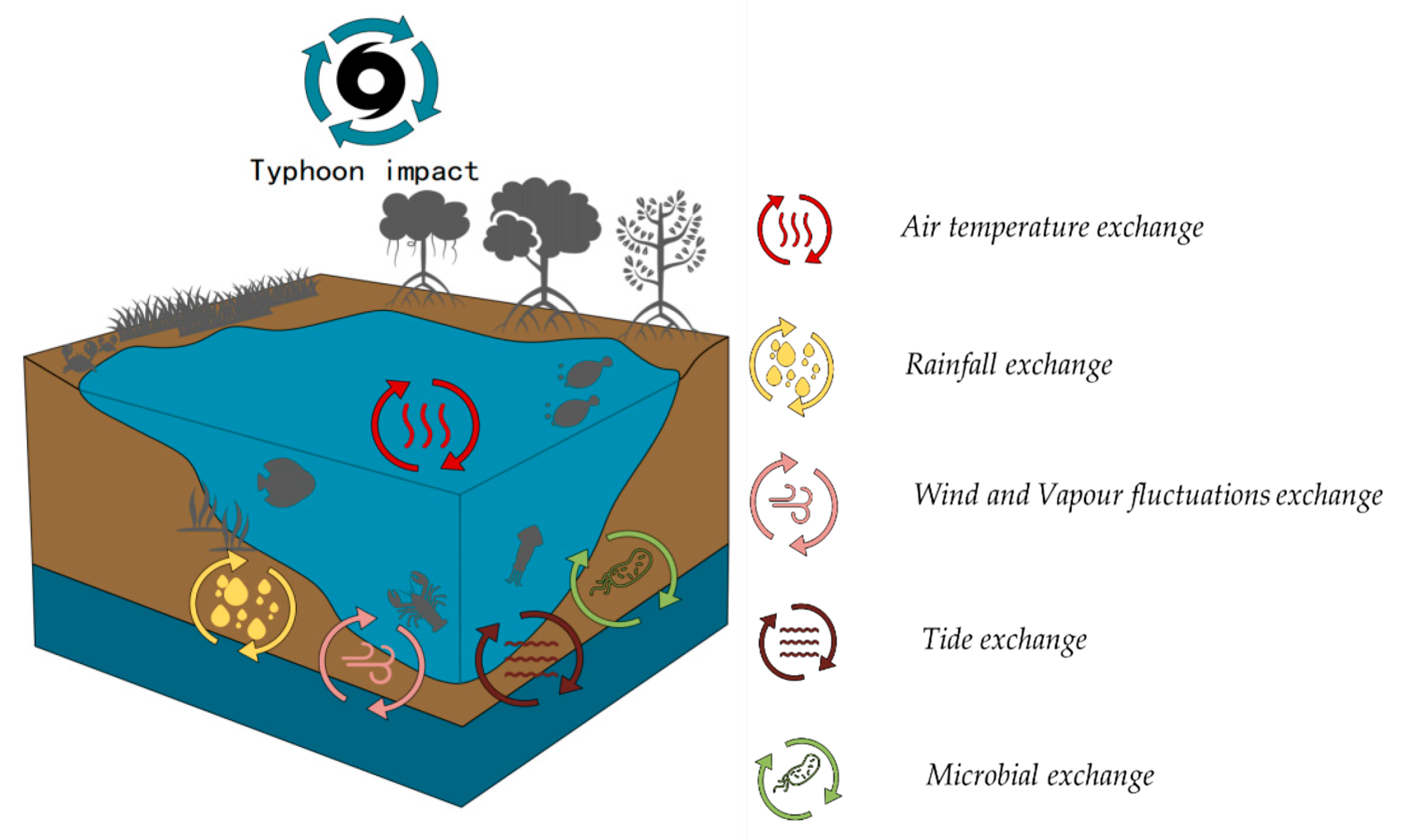 Forests 16 01165 g001