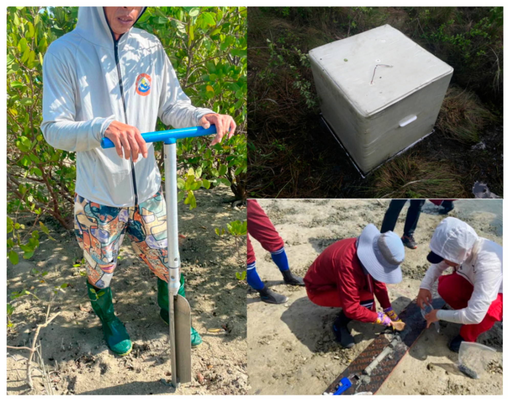 Forests 16 01165 g003