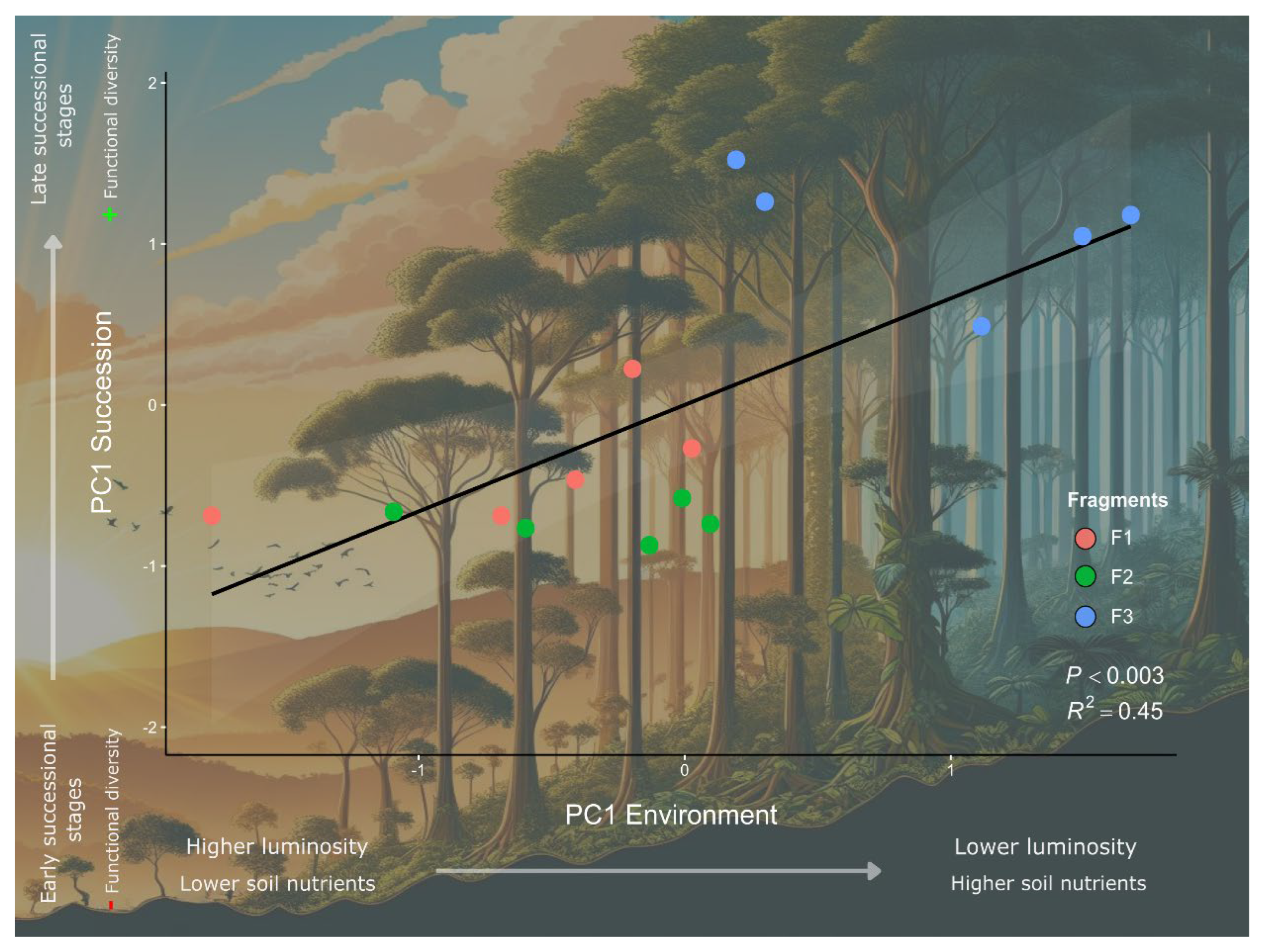 Forests 16 01169 g010