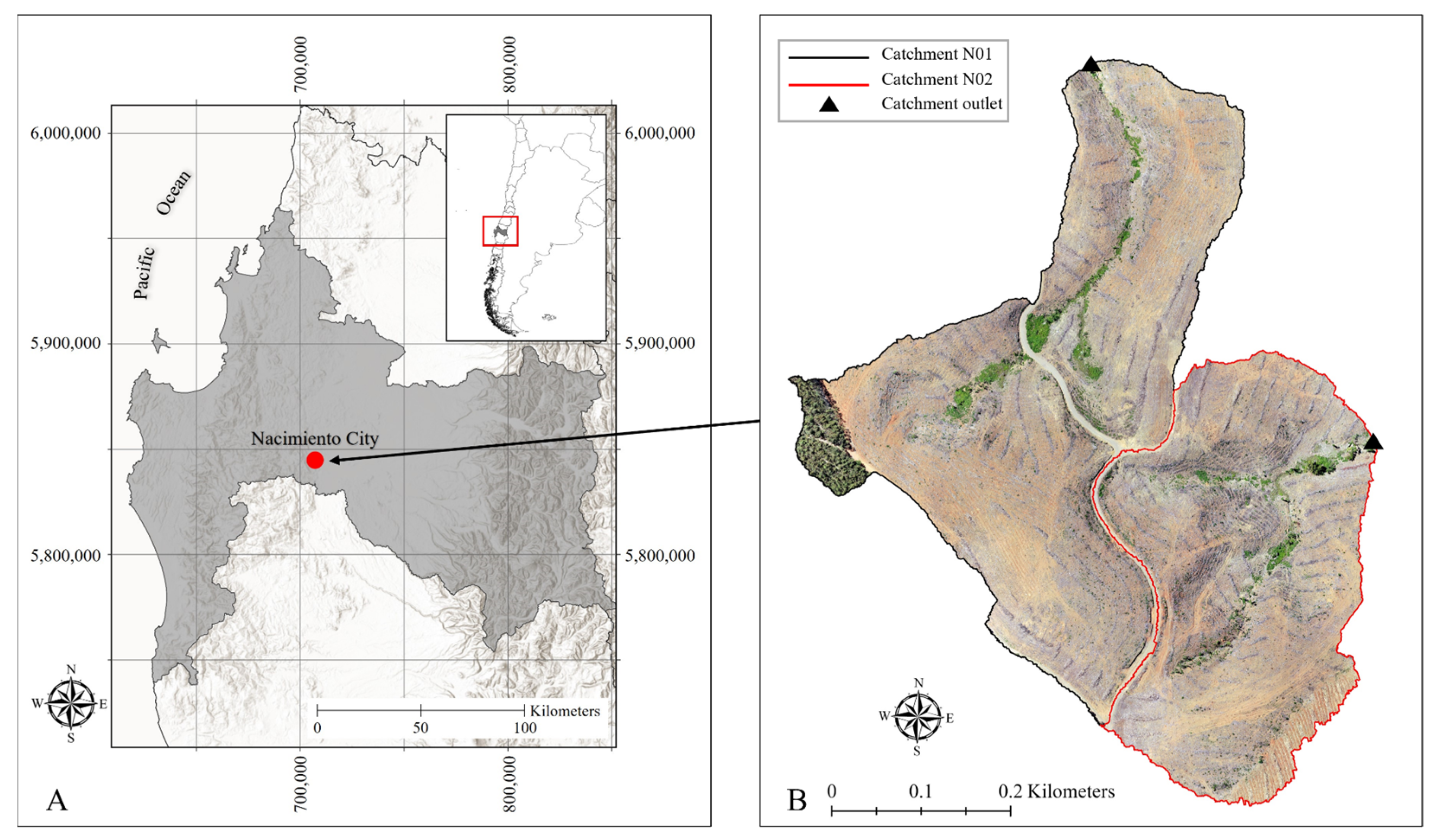 Forests 16 01171 g002