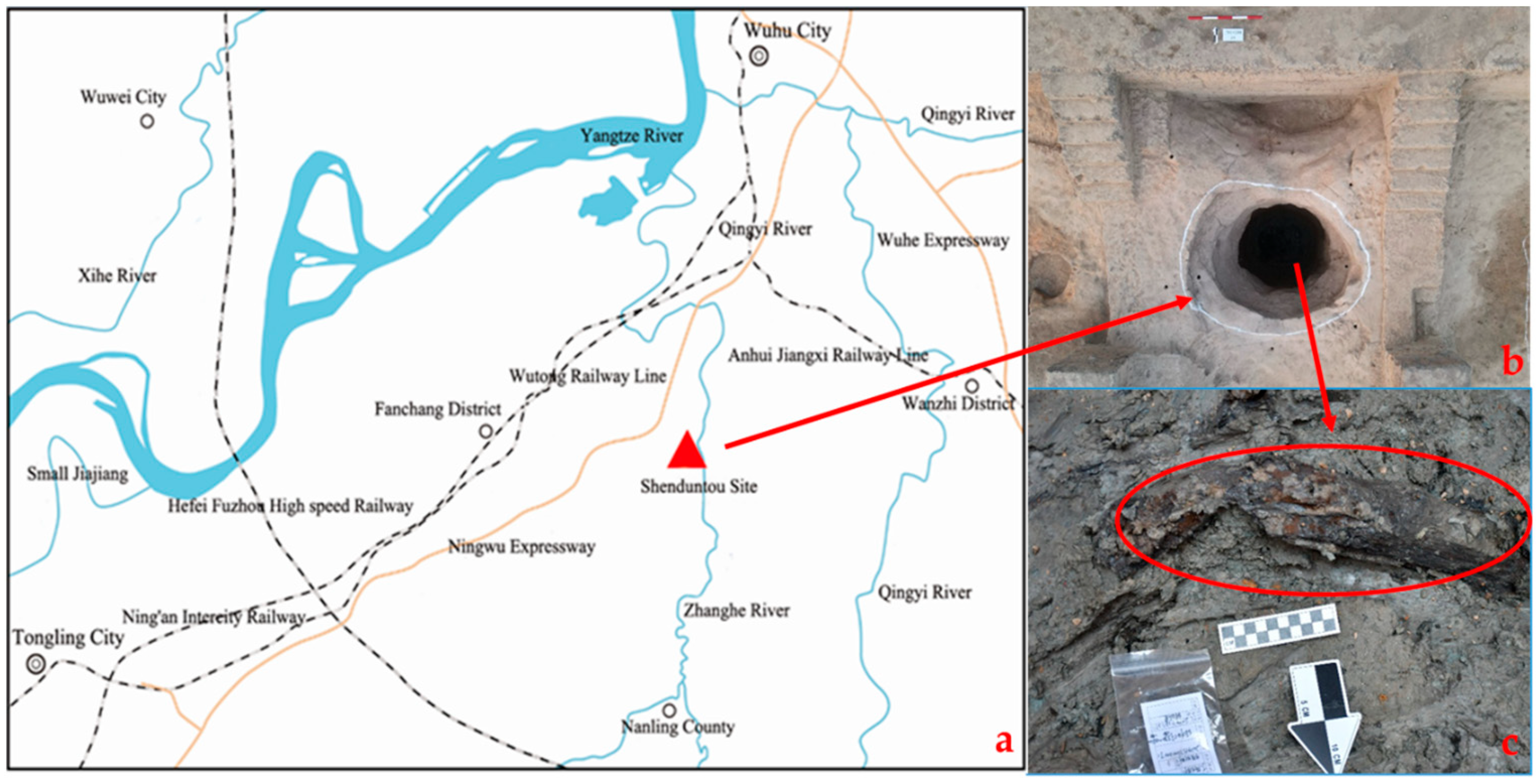 Forests 16 01173 g001