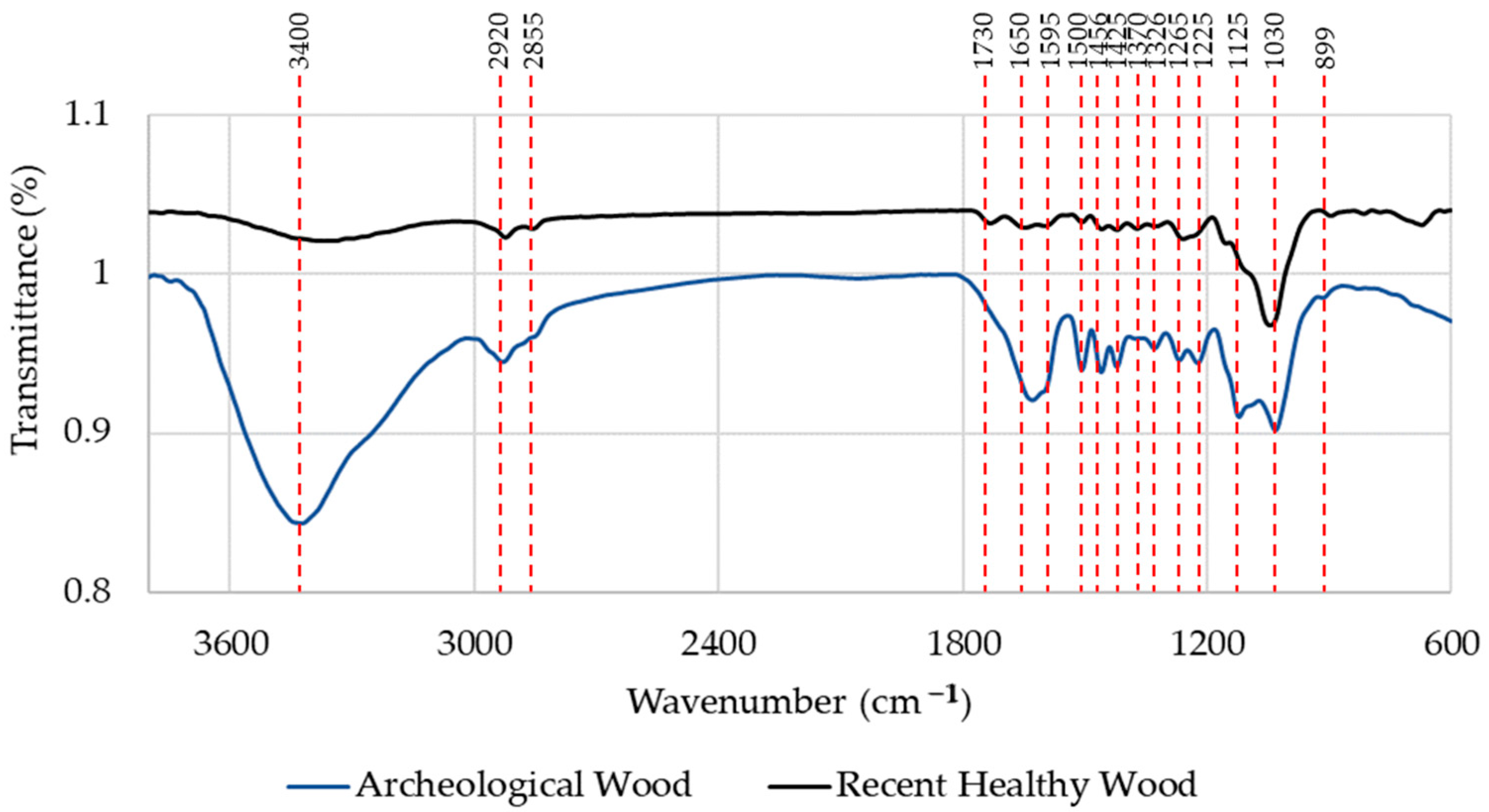 Forests 16 01173 g004