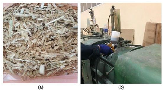 Forests 16 01174 g002