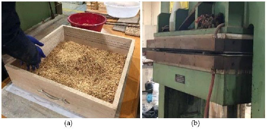 Forests 16 01174 g003