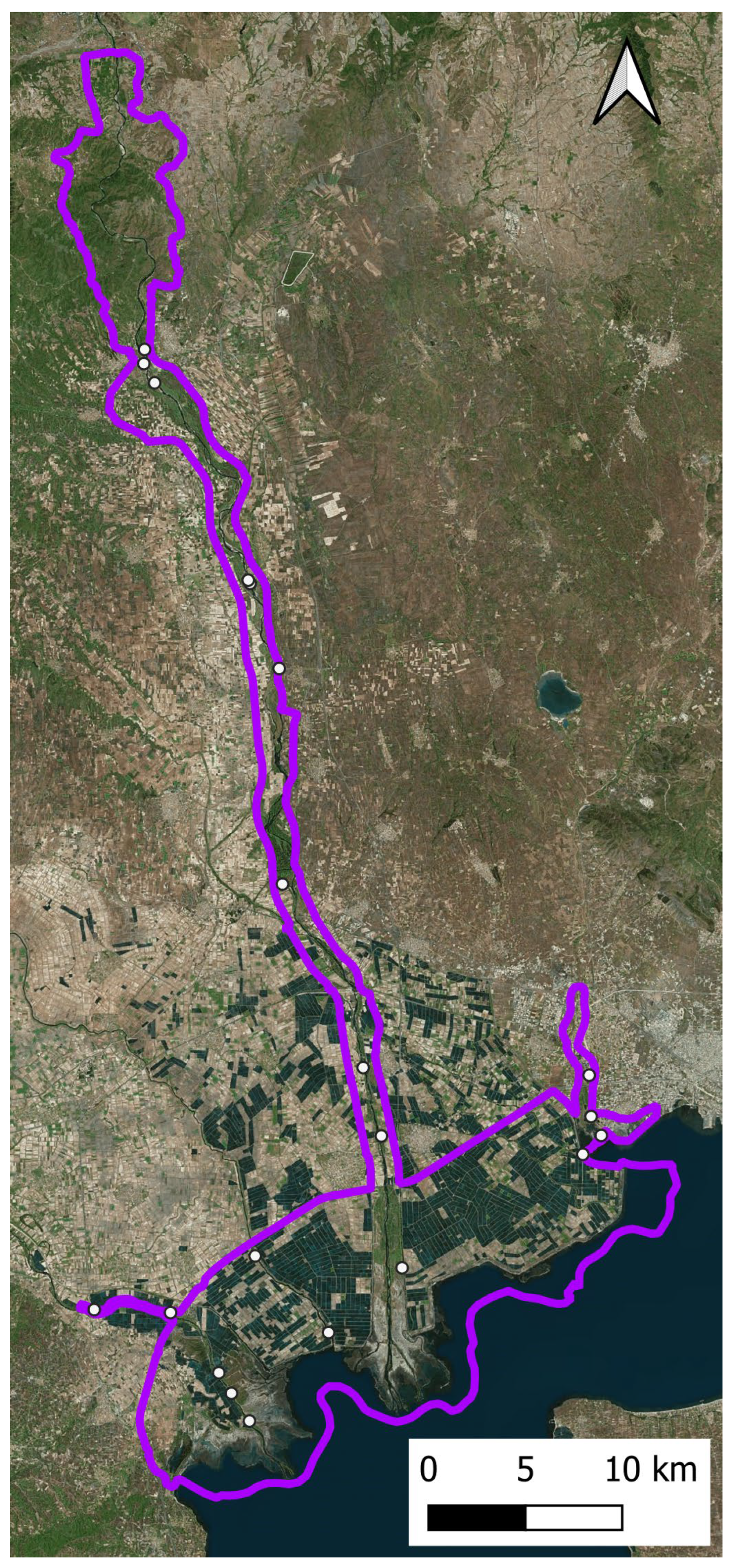Forests 16 01181 g006
