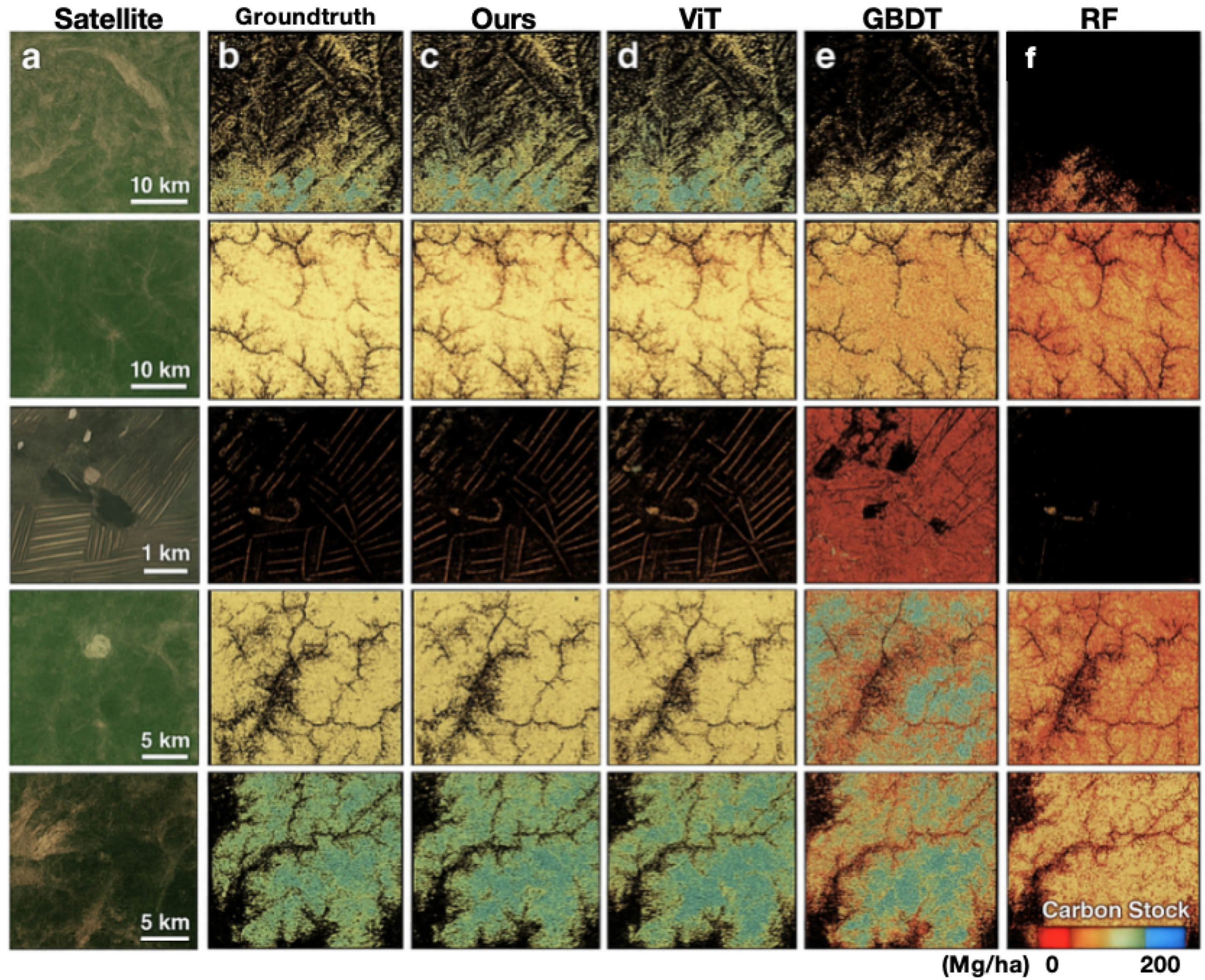 Forests 16 01198 g005
