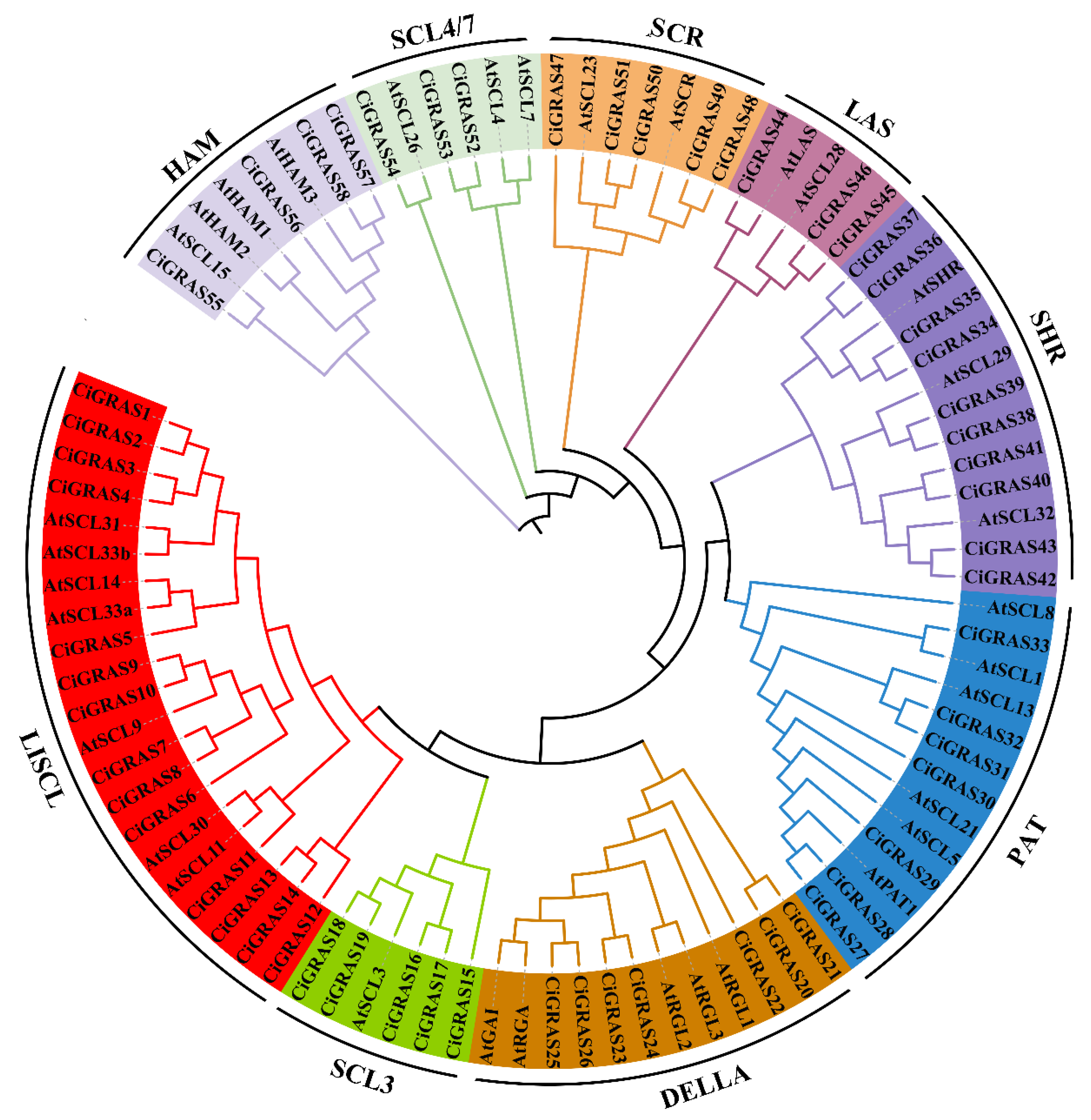 Forests 16 01199 g001