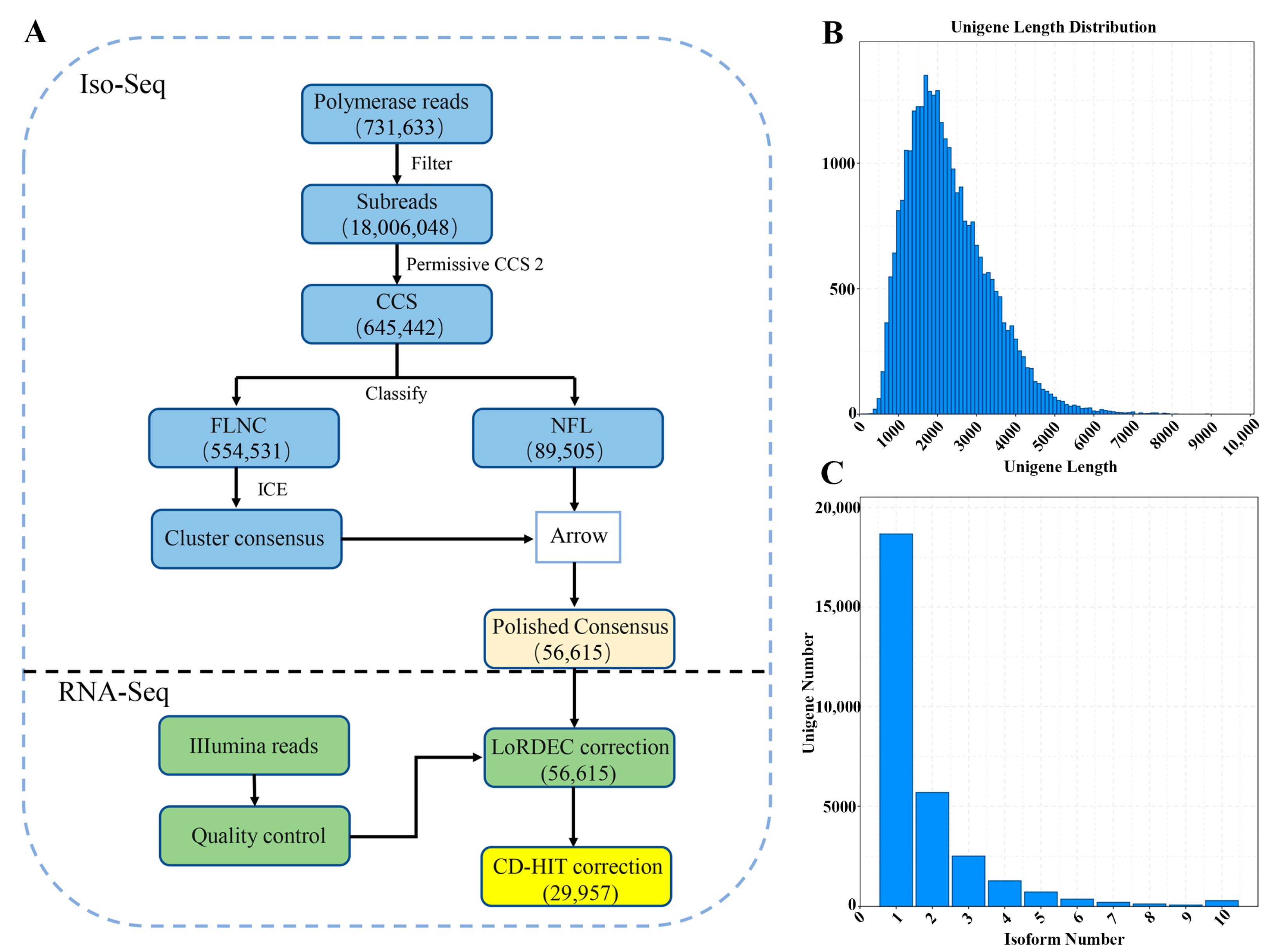 Forests 16 01201 g002
