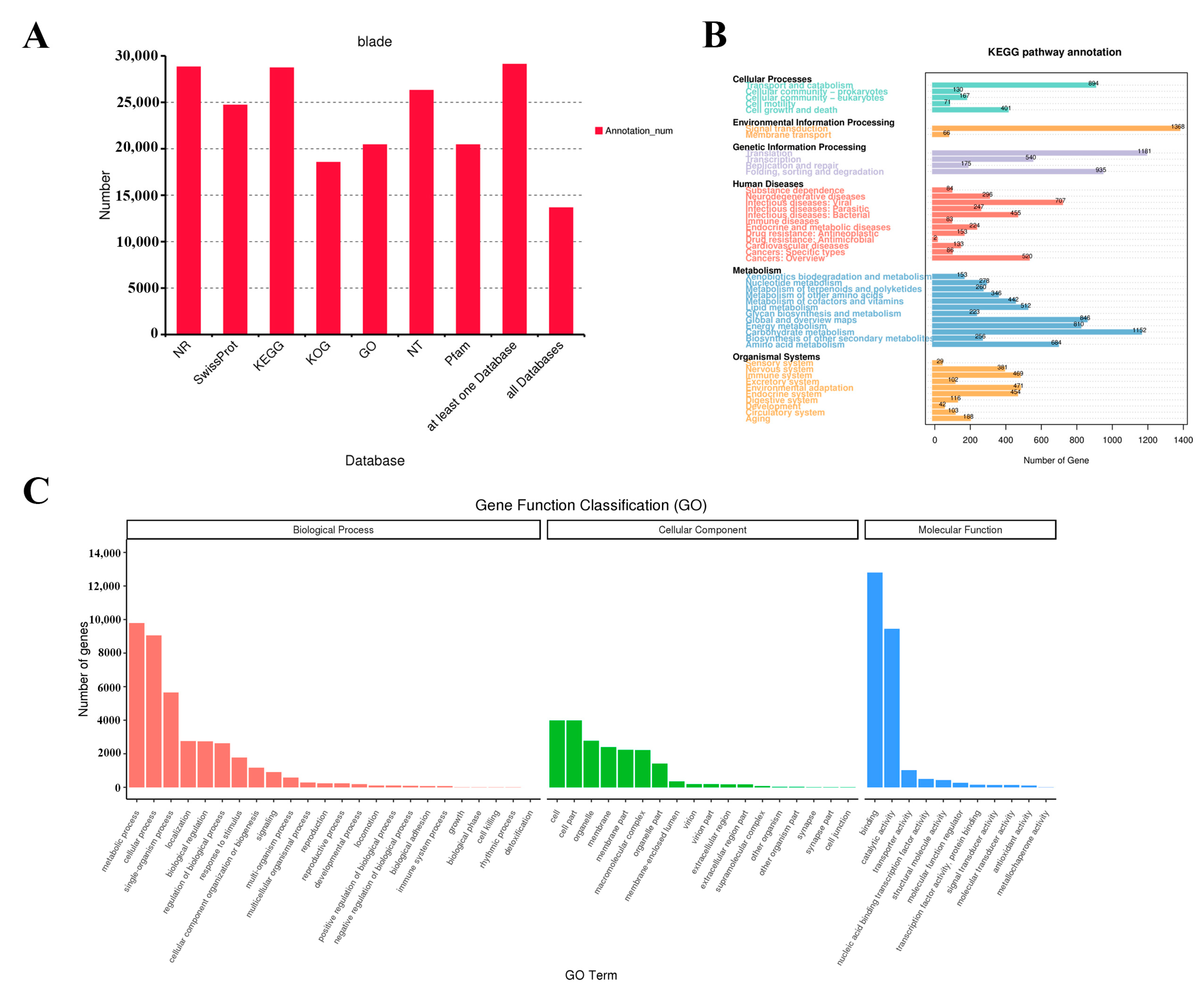 Forests 16 01201 g004