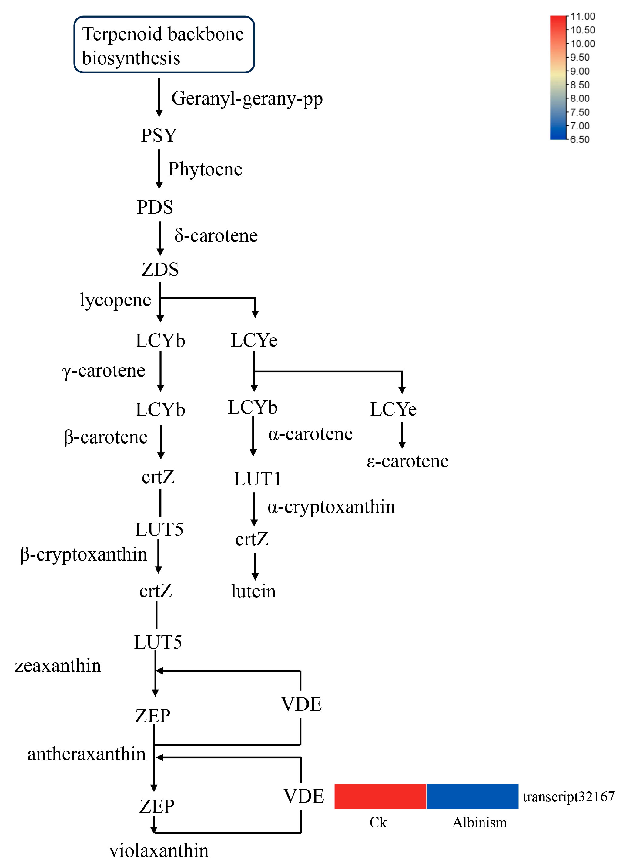 Forests 16 01201 g009