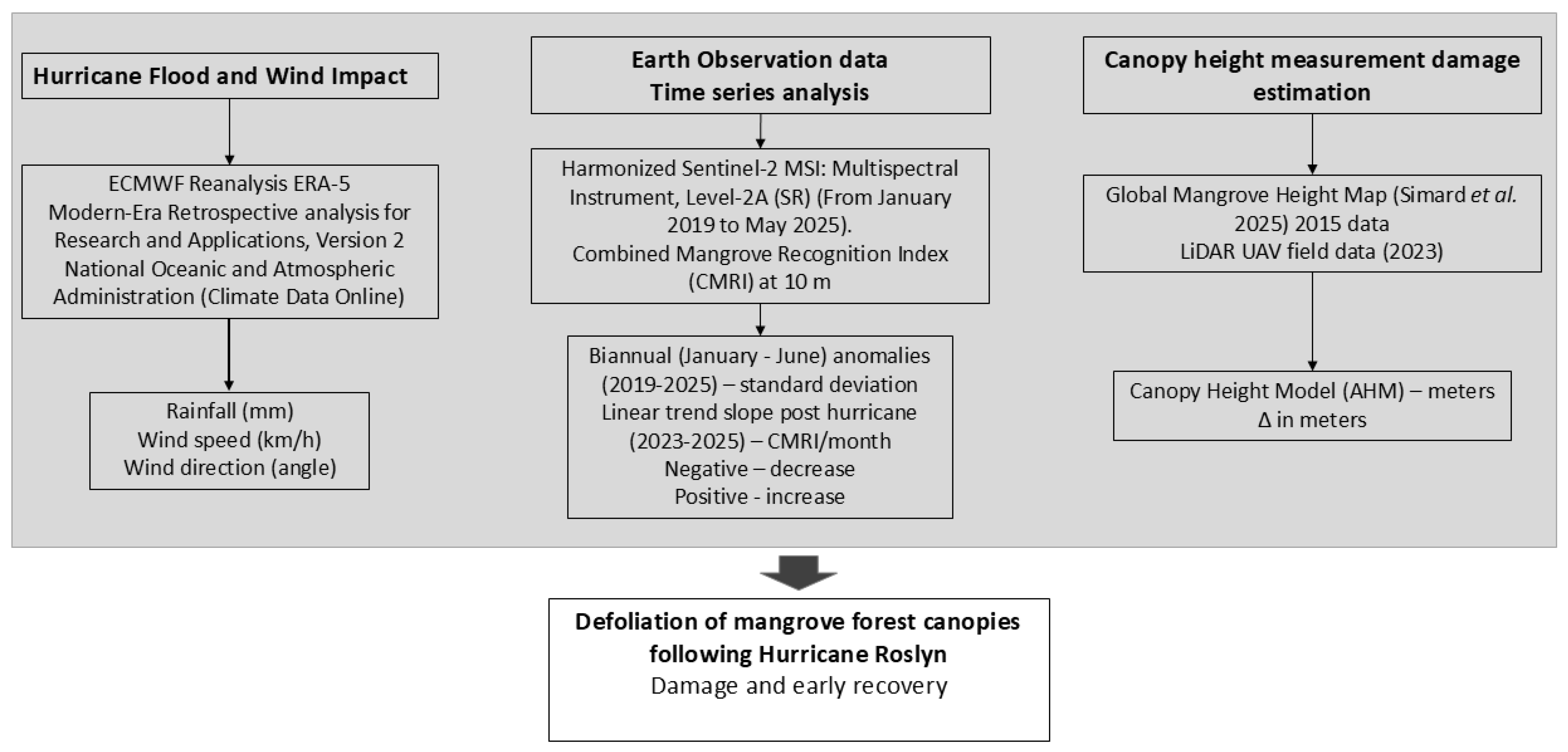 Forests 16 01207 g002