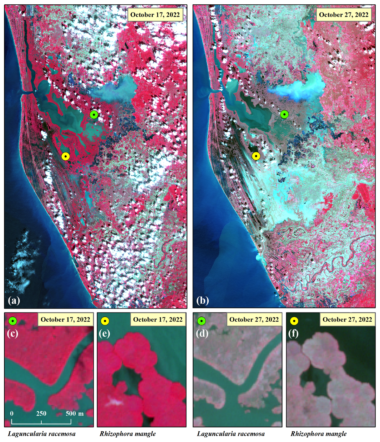 Forests 16 01207 g004
