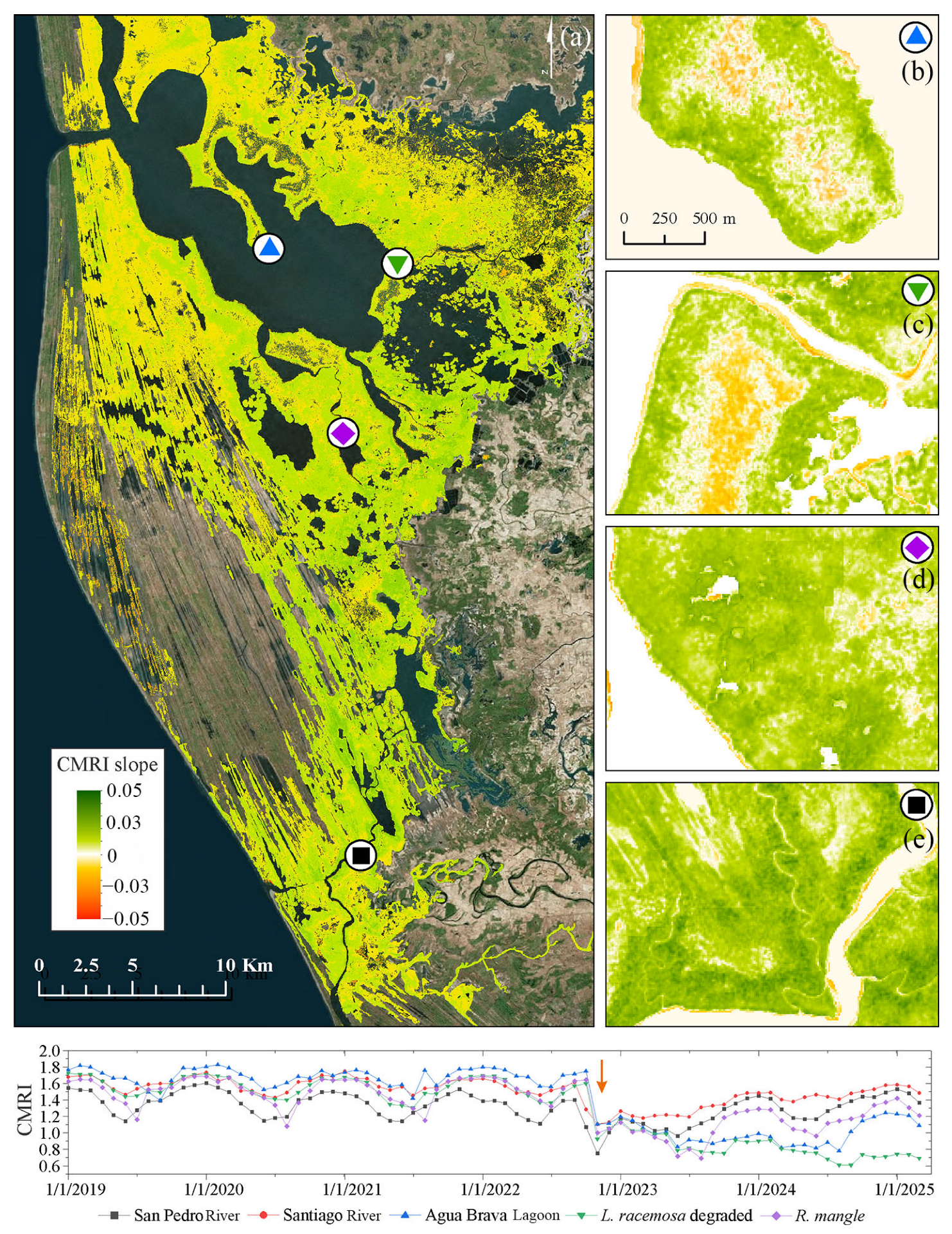 Forests 16 01207 g007