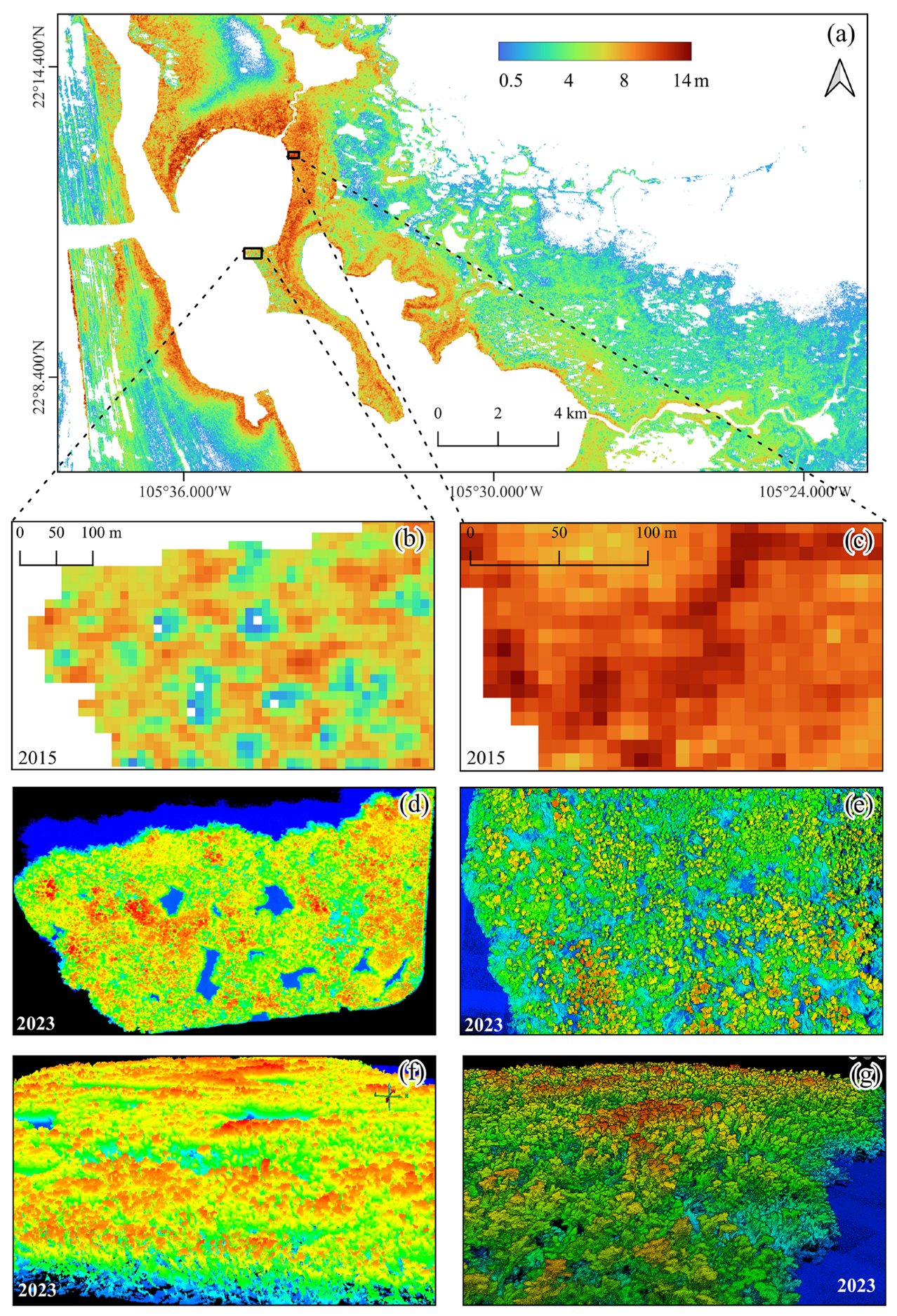 Forests 16 01207 g008