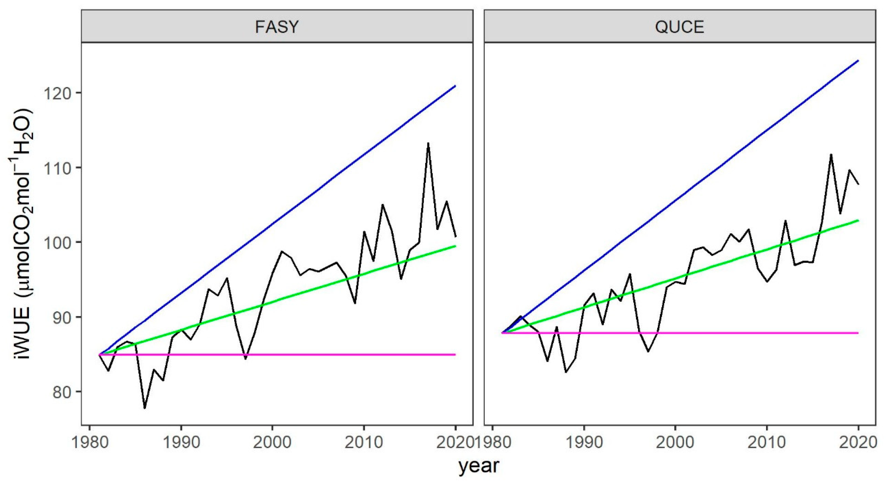 Forests 16 01210 g004 Forests 16 01210 g004