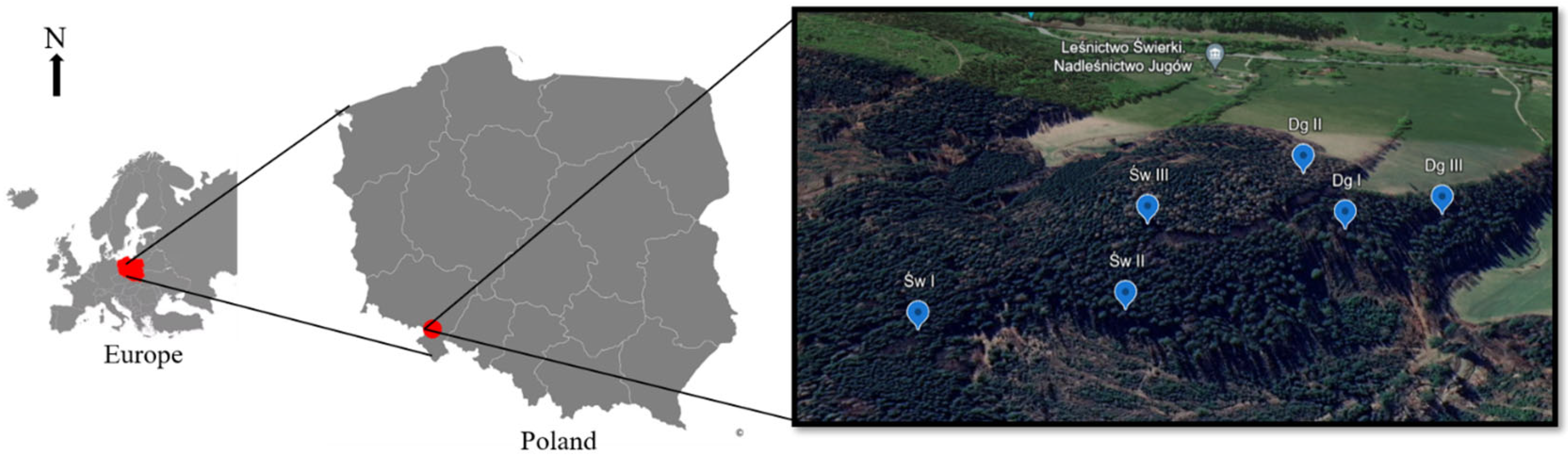 Forests 16 01217 g001
