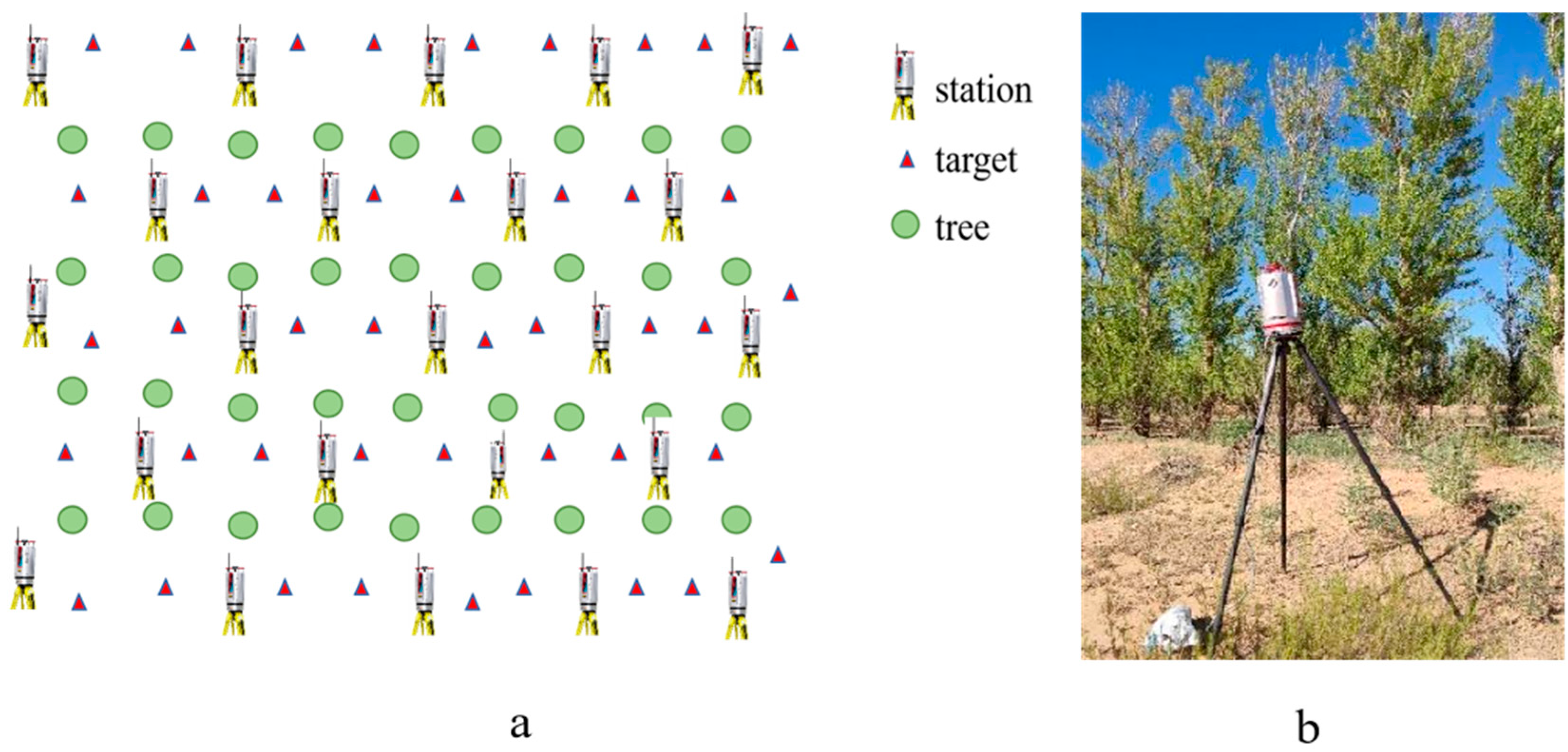 Forests 16 01221 g002