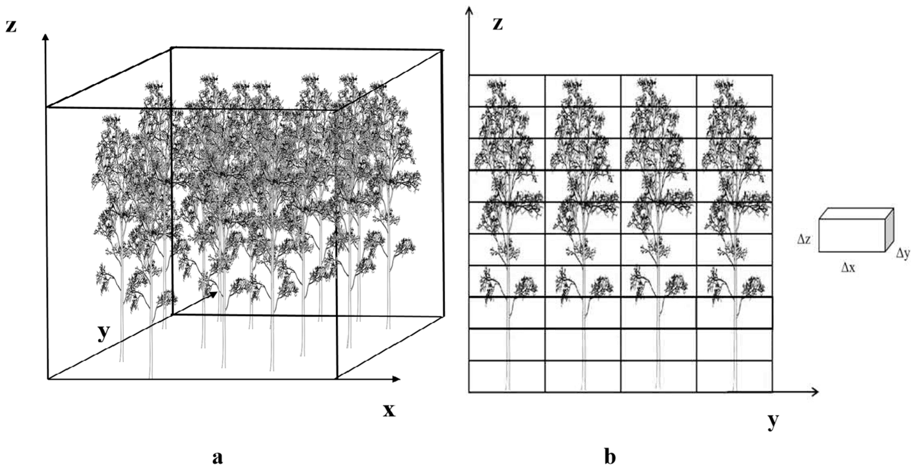 Forests 16 01221 g003